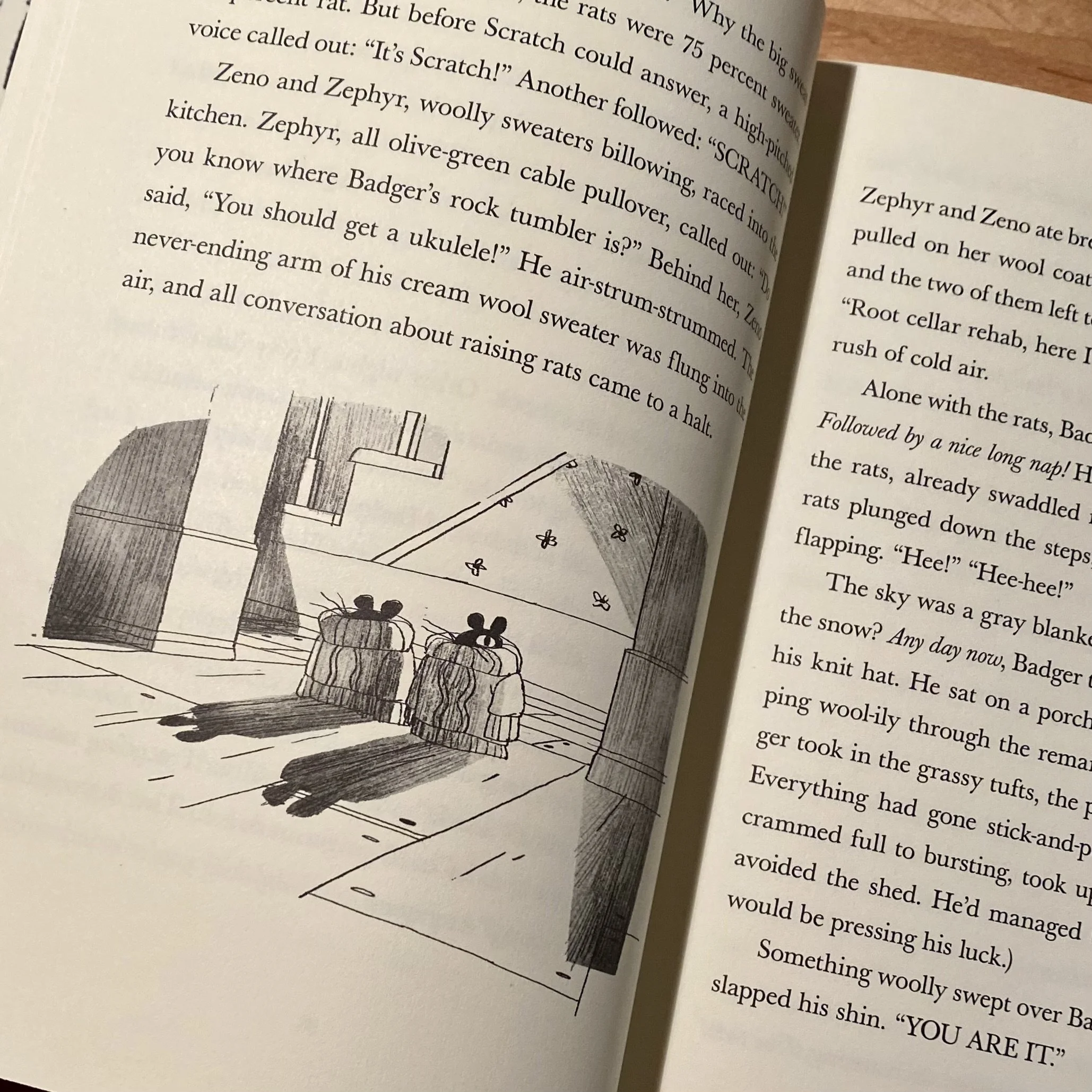 June 2025 -- First glimpse!