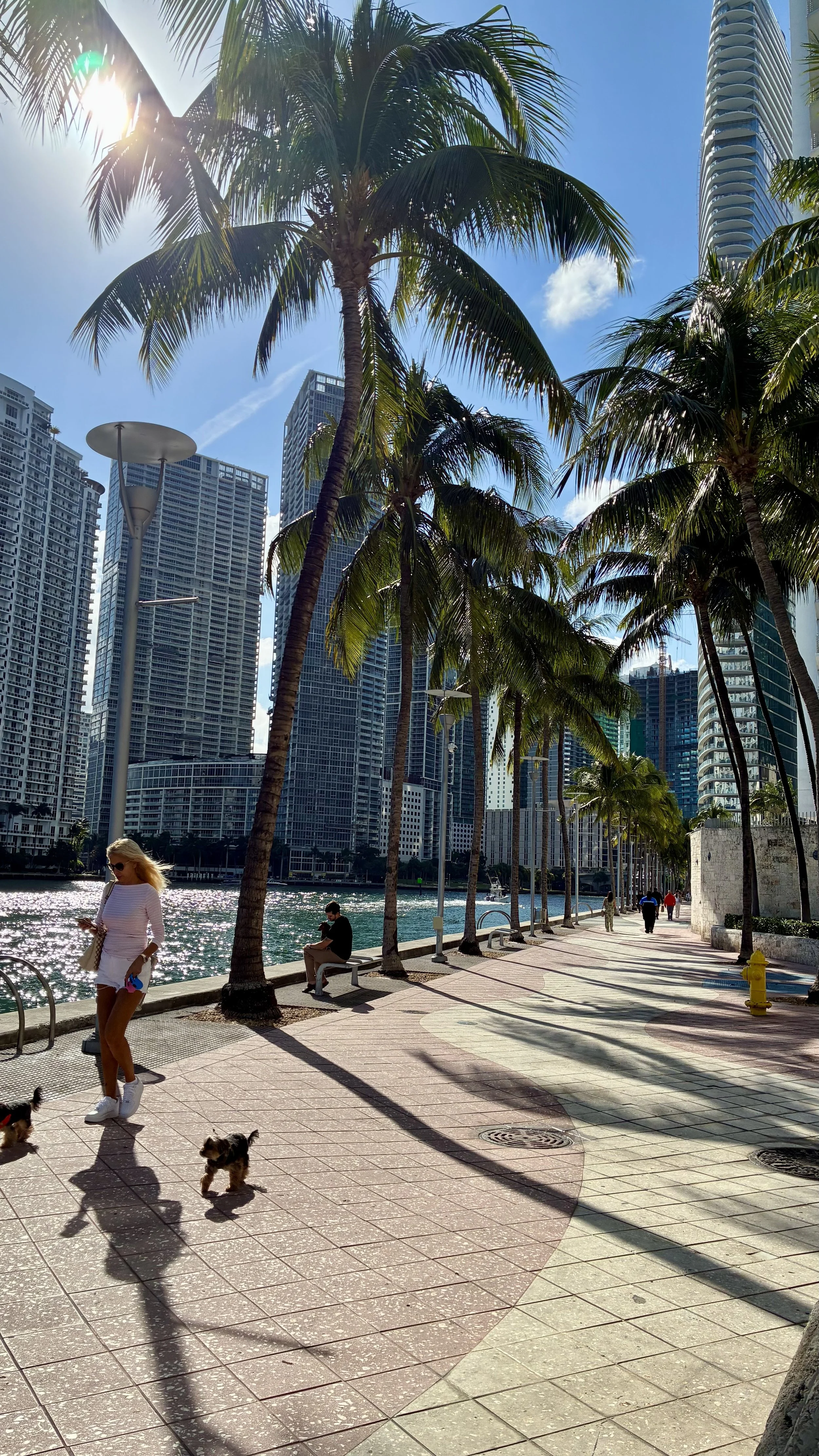 Nov 2025 Miami Book Fair