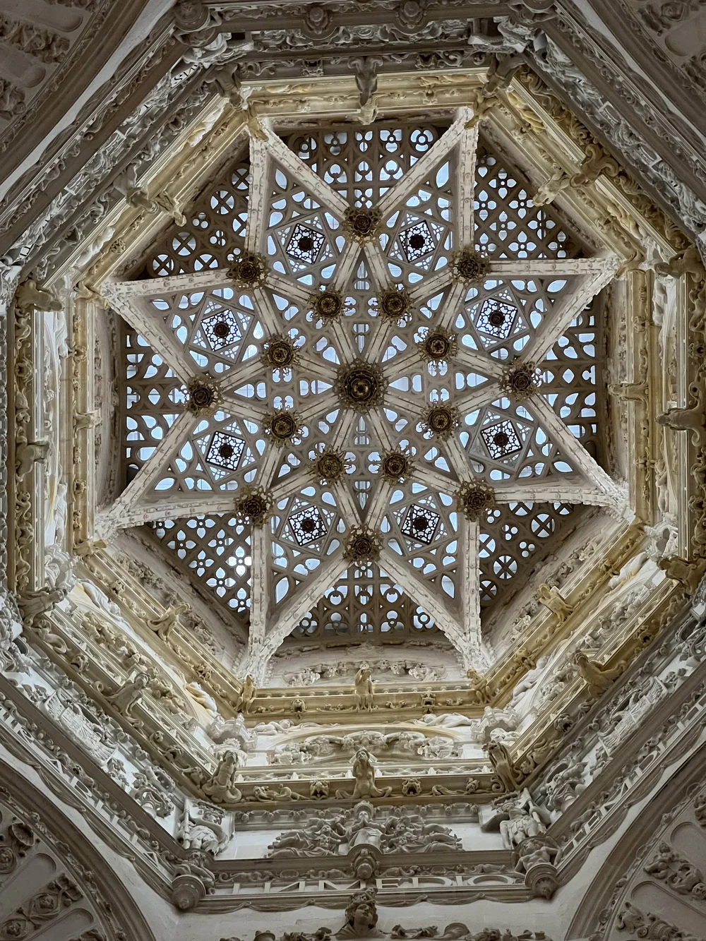 IMG_4005.jpeg