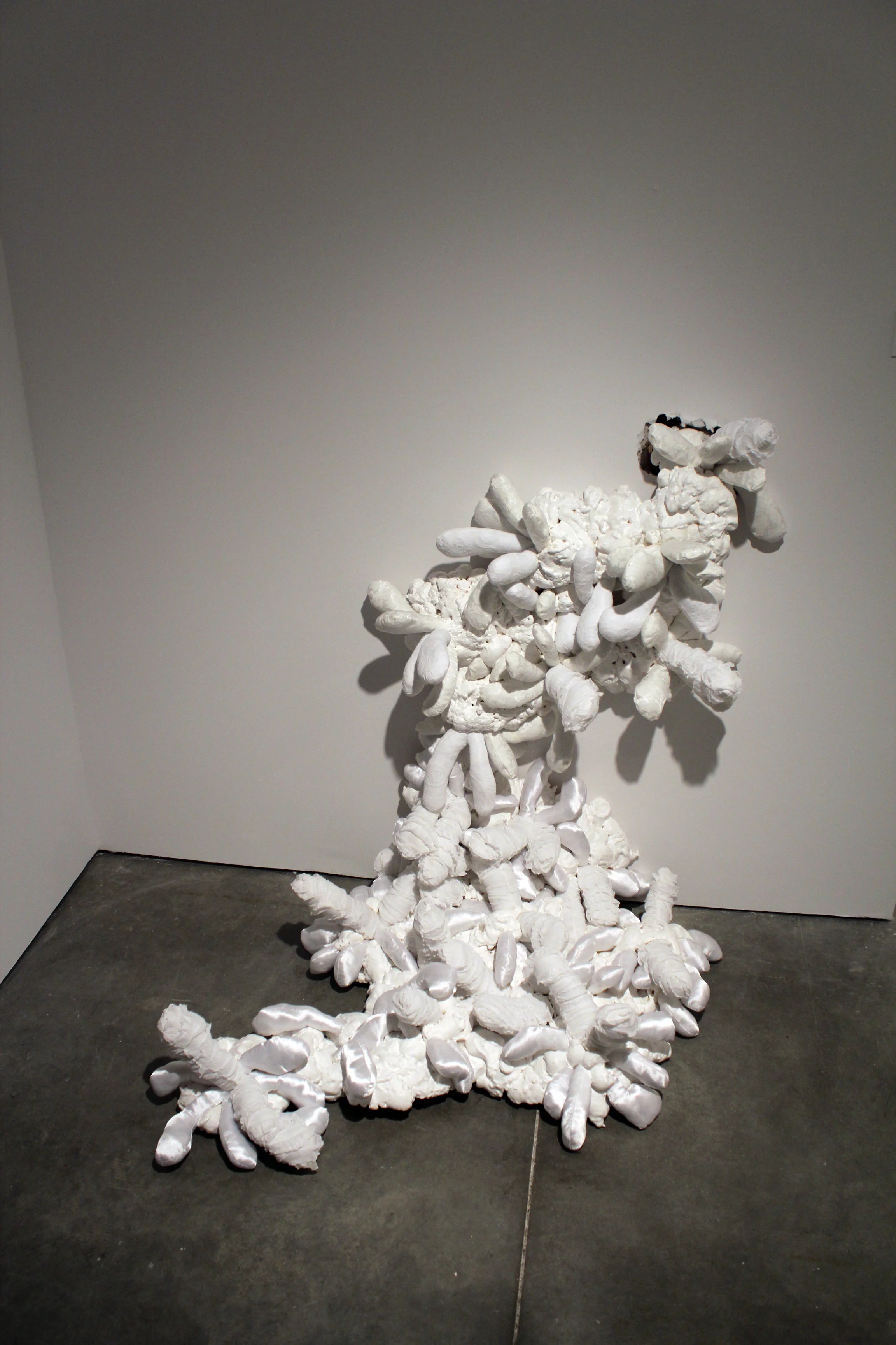 Leukocytes’ Nuptials, 2012