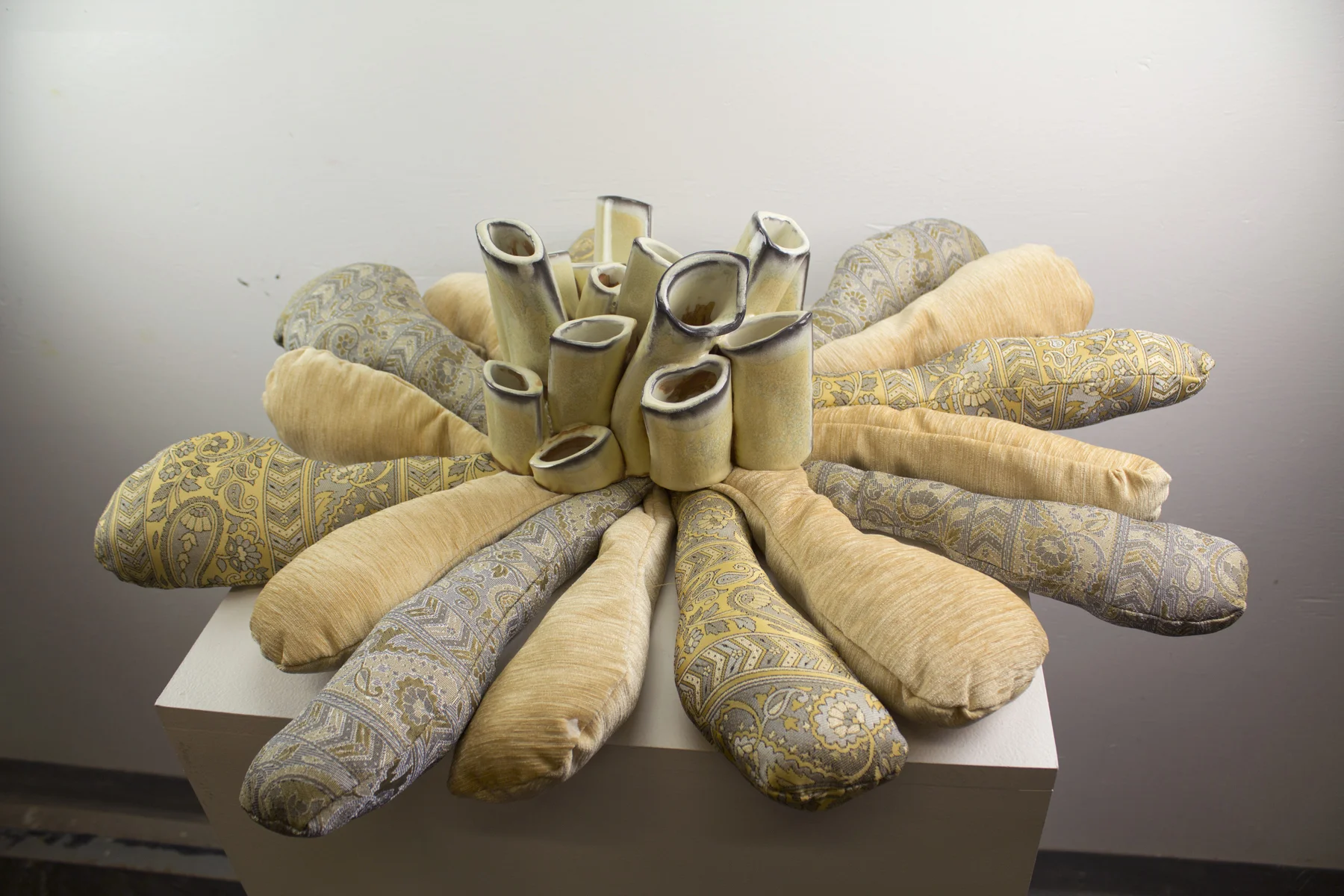 Yellow Salt Growth, 2014