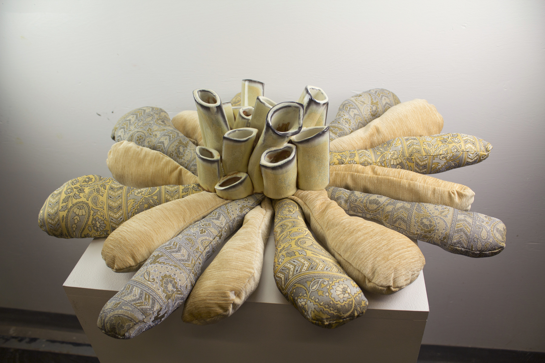 Yellow Salt Growth, 2014