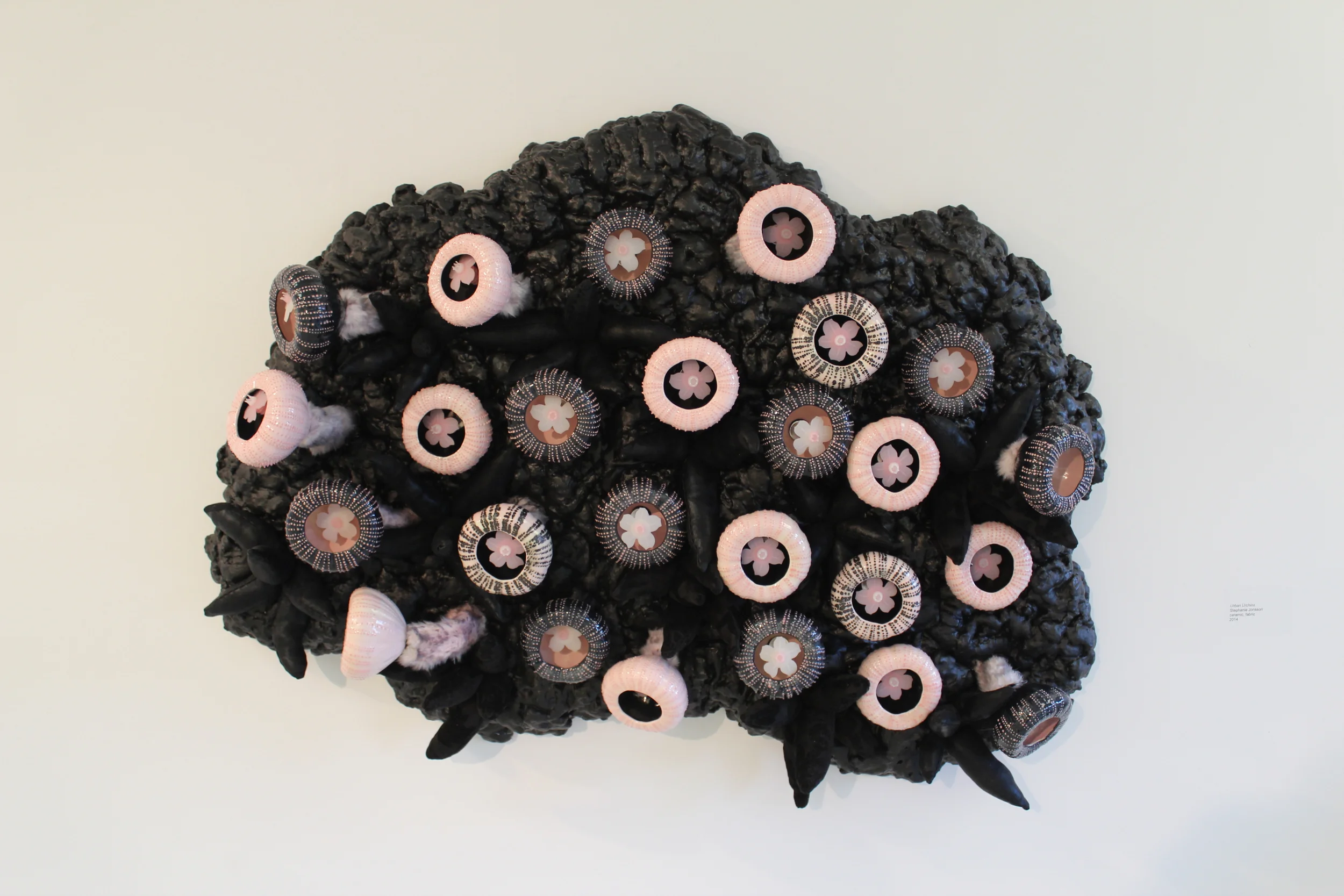 Urban Urchins, 2014