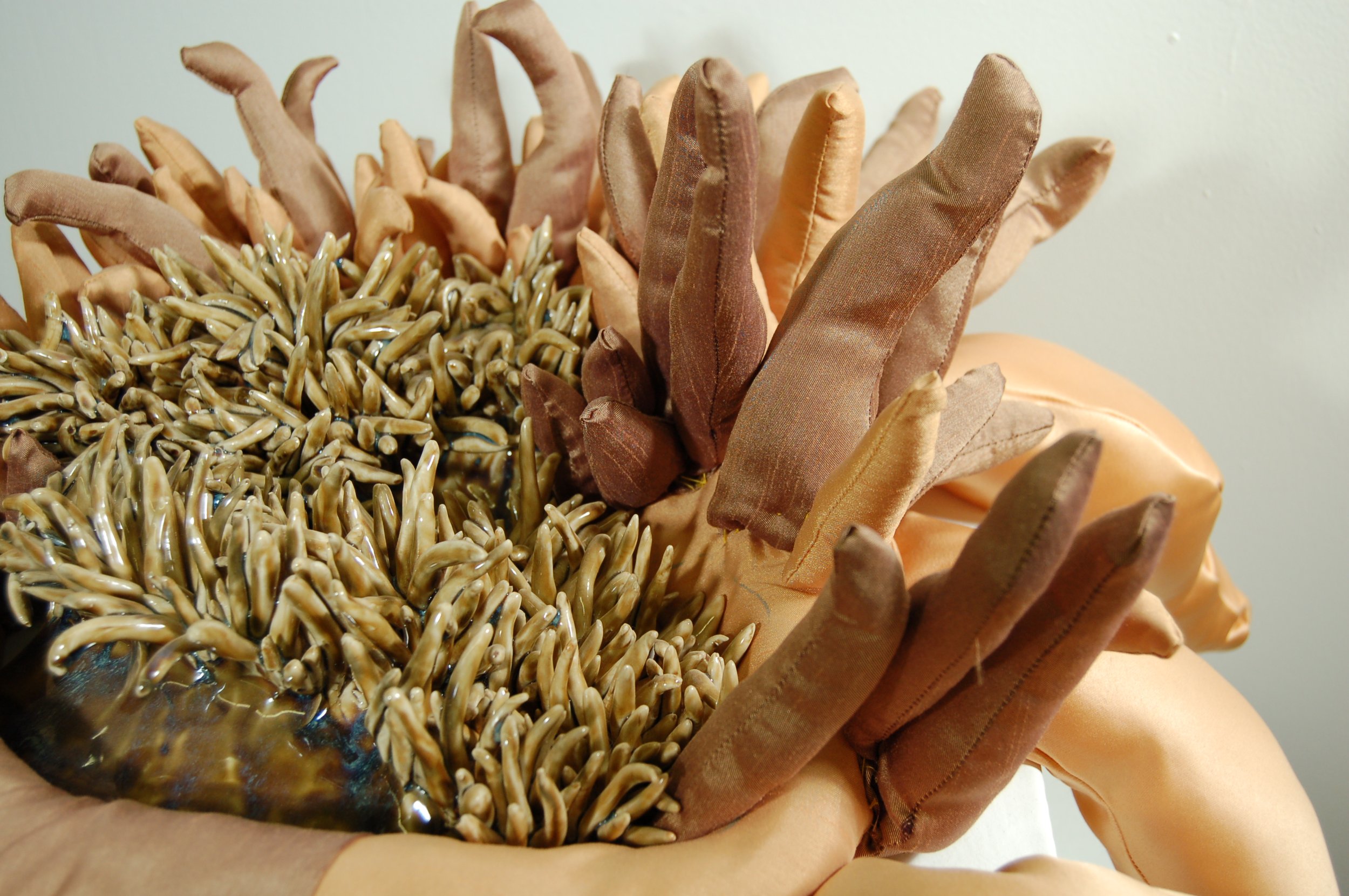 09.Anemone.JPG