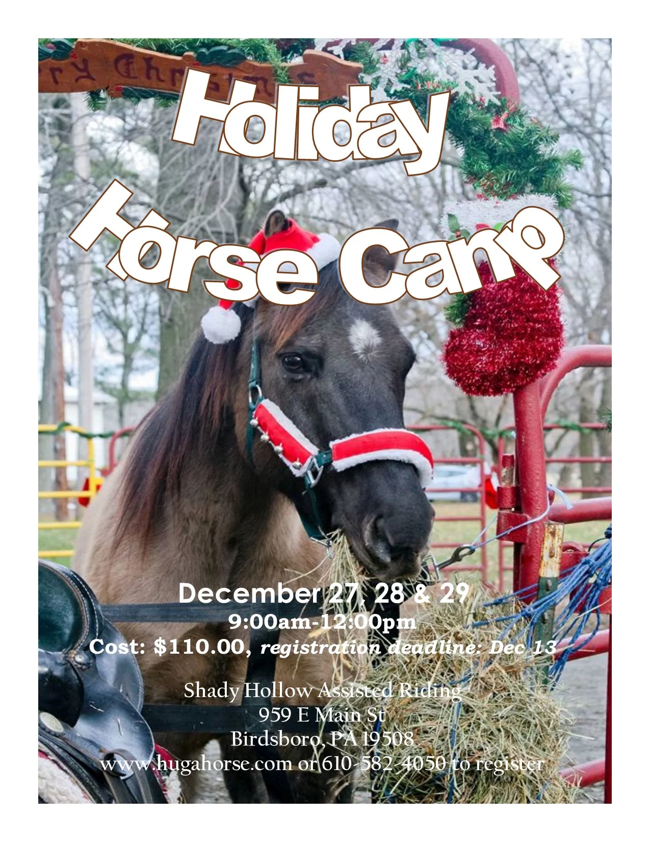 holidayhorsecamp2017.jpg
