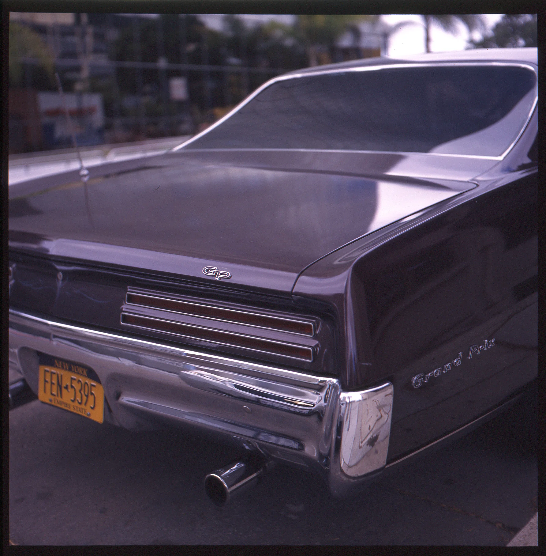 NY-GP-in-SD-2.jpg