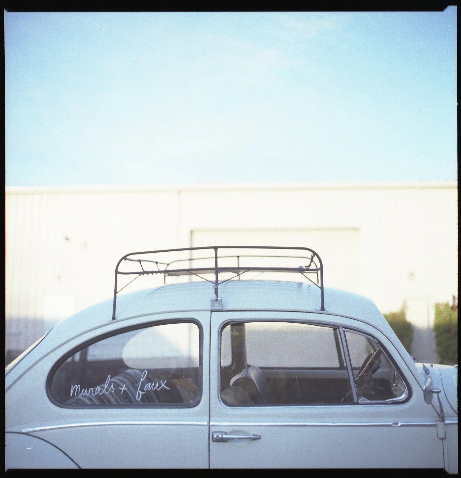 Crafty-Bug-002-pp.jpg