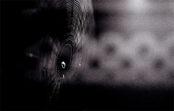 4842097730_a21c95ba2a_o.jpg
