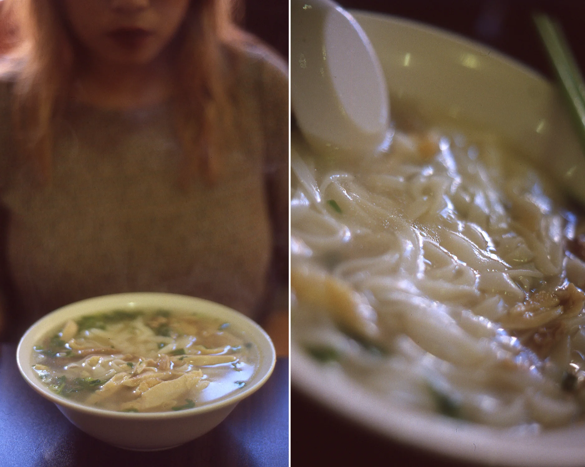 Chicken Pho at Turtle Tower / San Francisco