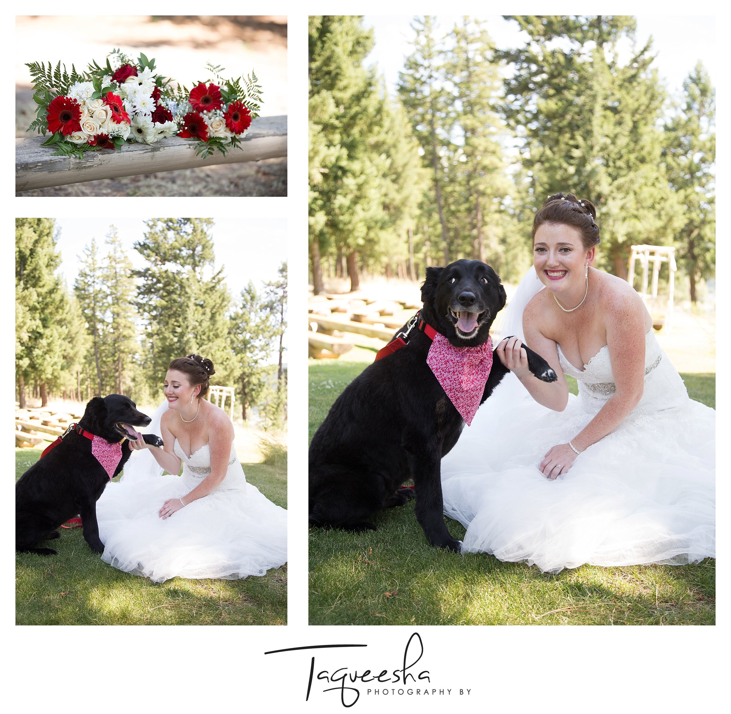 Kamloops wedding photographer_2909.jpg