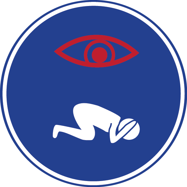 PERSECUTORY DELUSION The paranoid delusion that you are being watched, followed, or persecuted.
