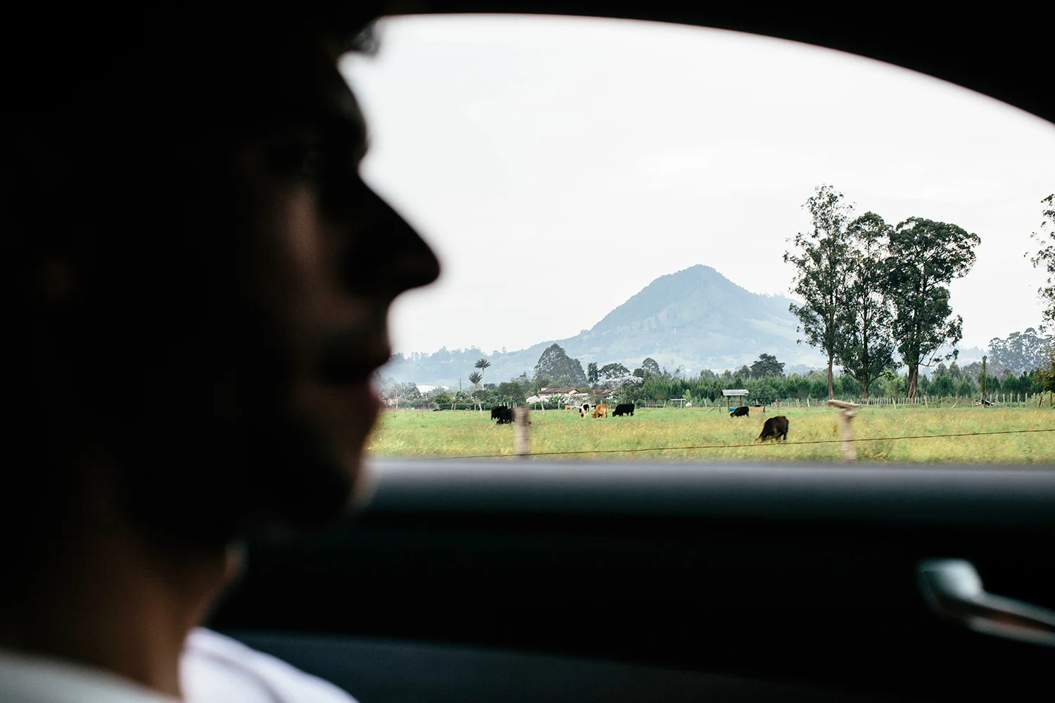 Rouleur Magazine - Fernando Gaviria