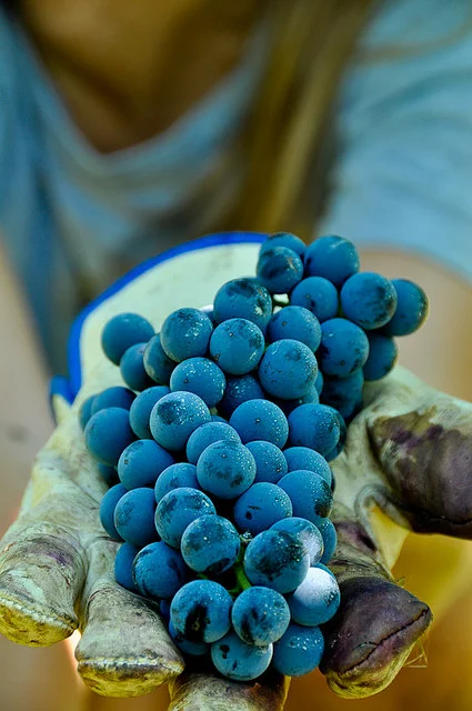 an offering_4463860360_m.jpg