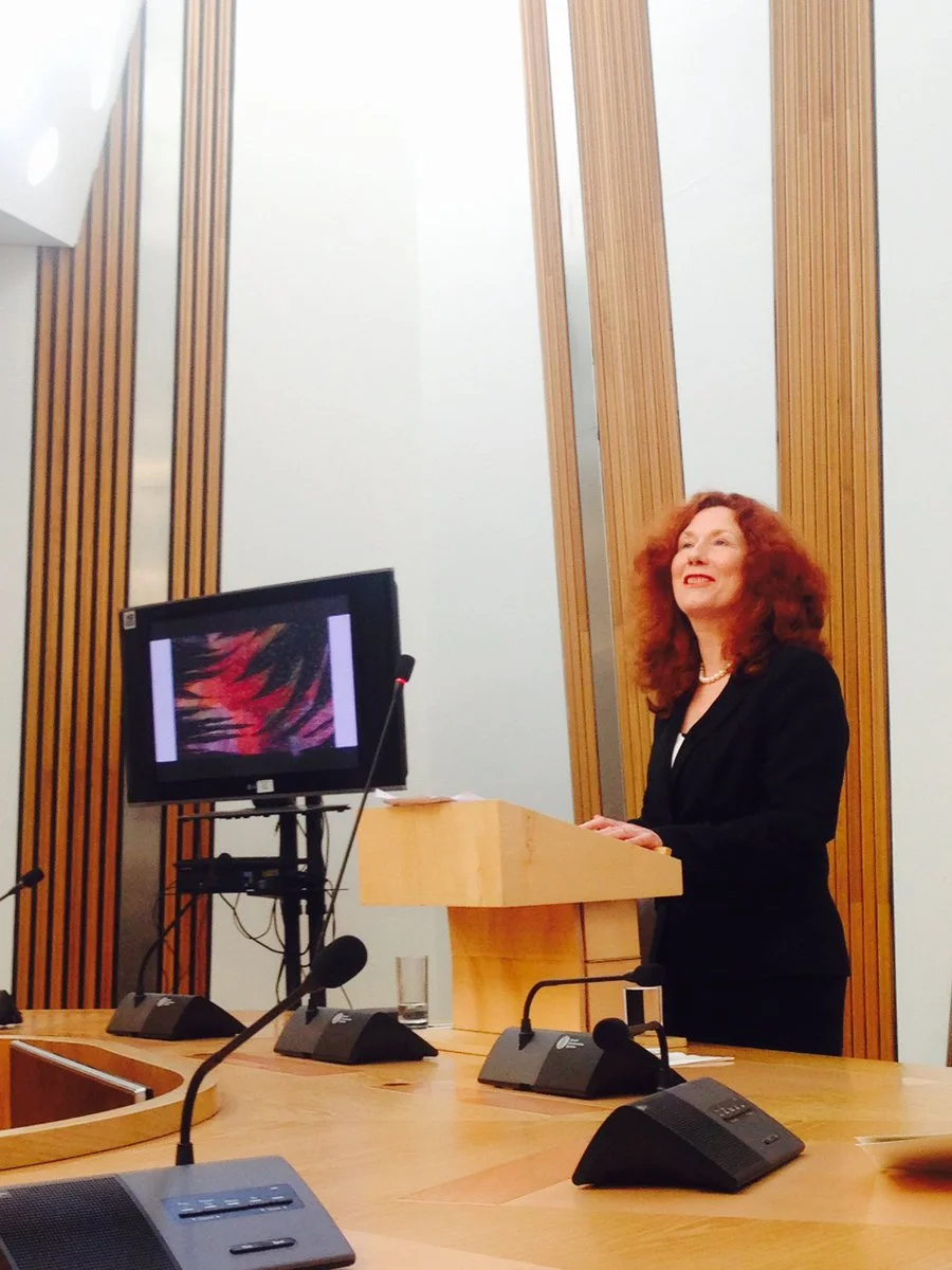 2017-05-11 Angie Hobbs Scottish parliament.jpg