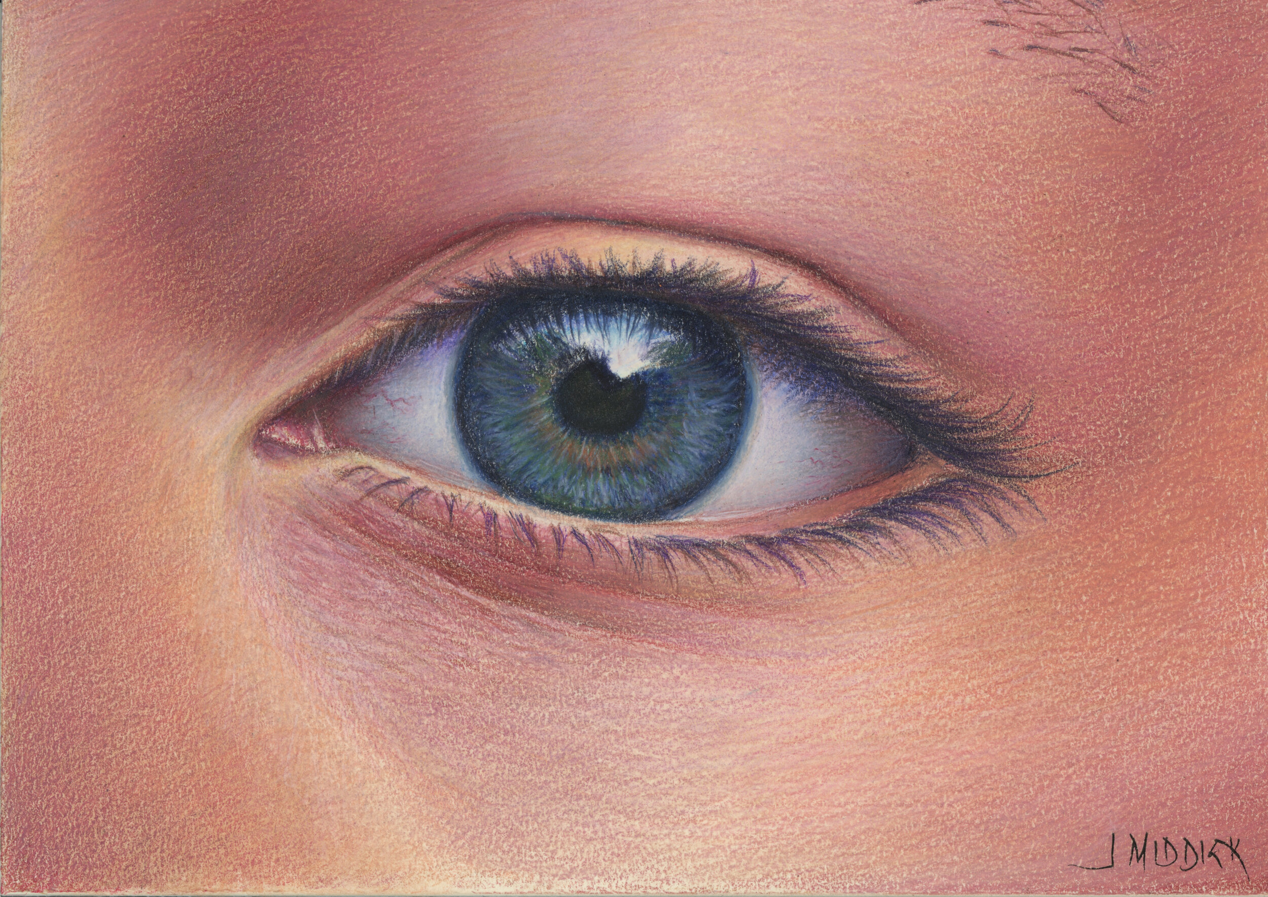 Single Eye study - colored pencil