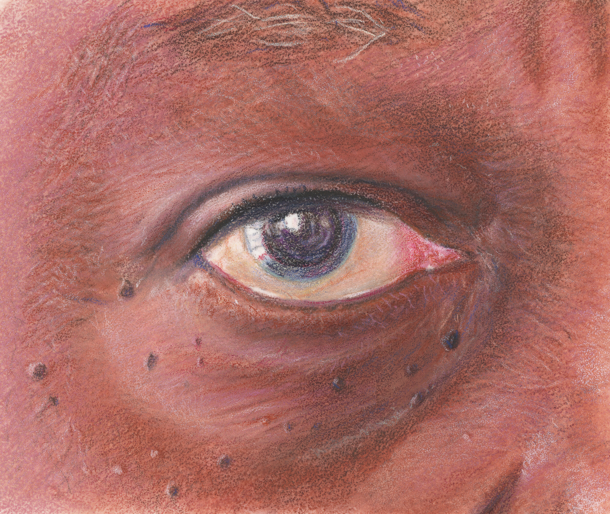 Dark Eye study - colored pencil