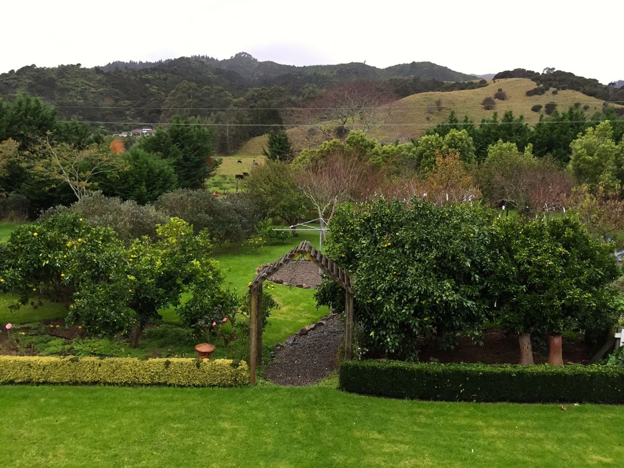 The garden at Jacaranda Lodge