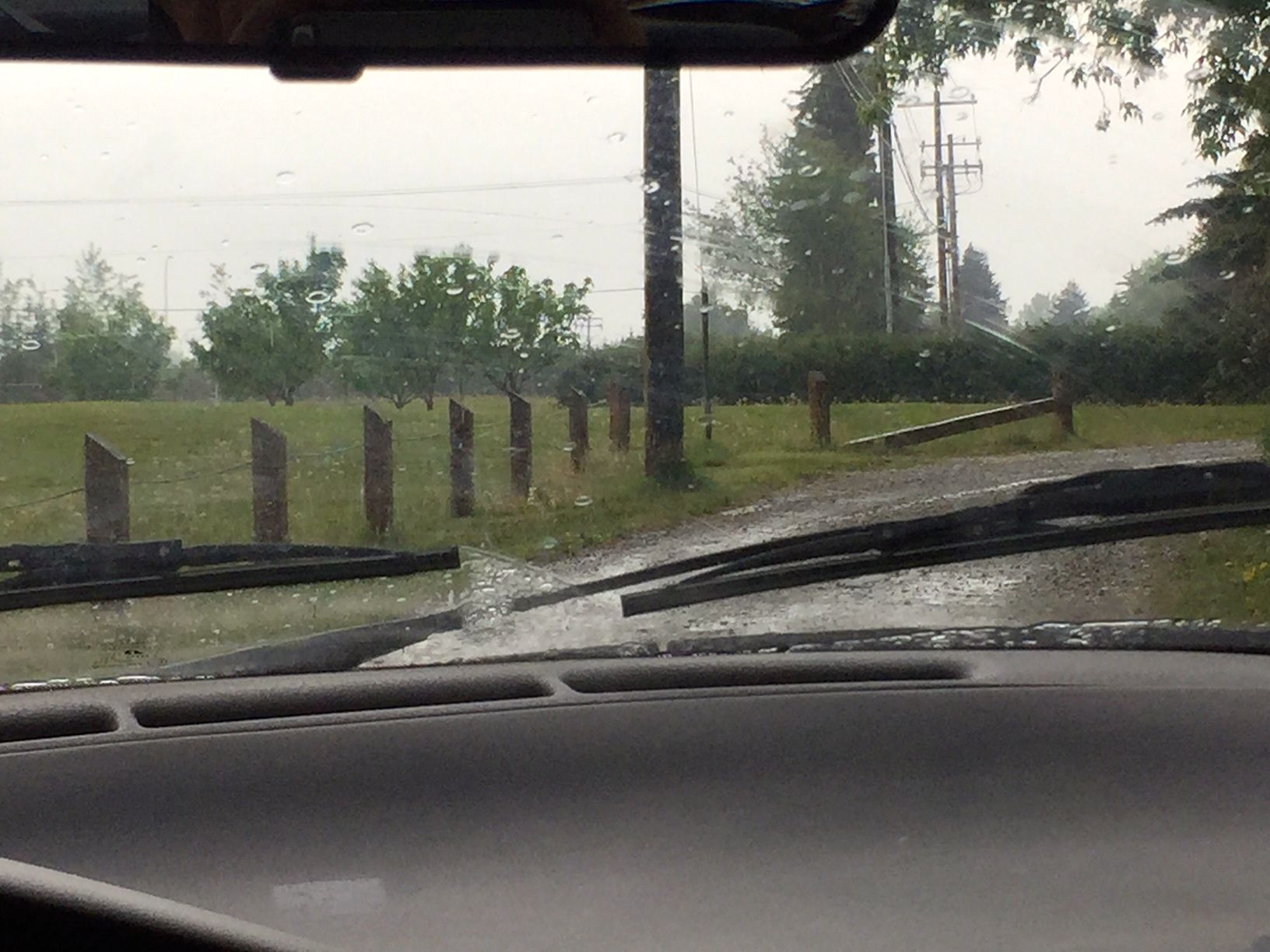 This dirt road (flanked in gorgeous fragrant lilacs I managed to miss in the photograph) is right in the city, not ten minutes from downtown. (Note: Early June is lilac season and they are all over the place in white, lavender and deep purple and perfuming the city.)