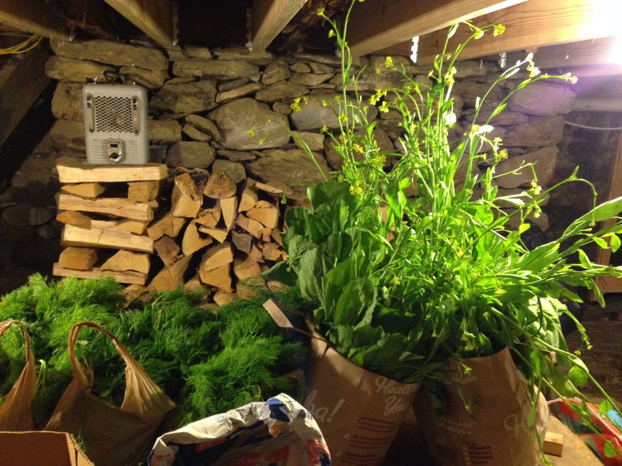 L to R: Three plastic grocery bags (15 lbs) of dill and two paper bags (15 lbs) of mustard greens