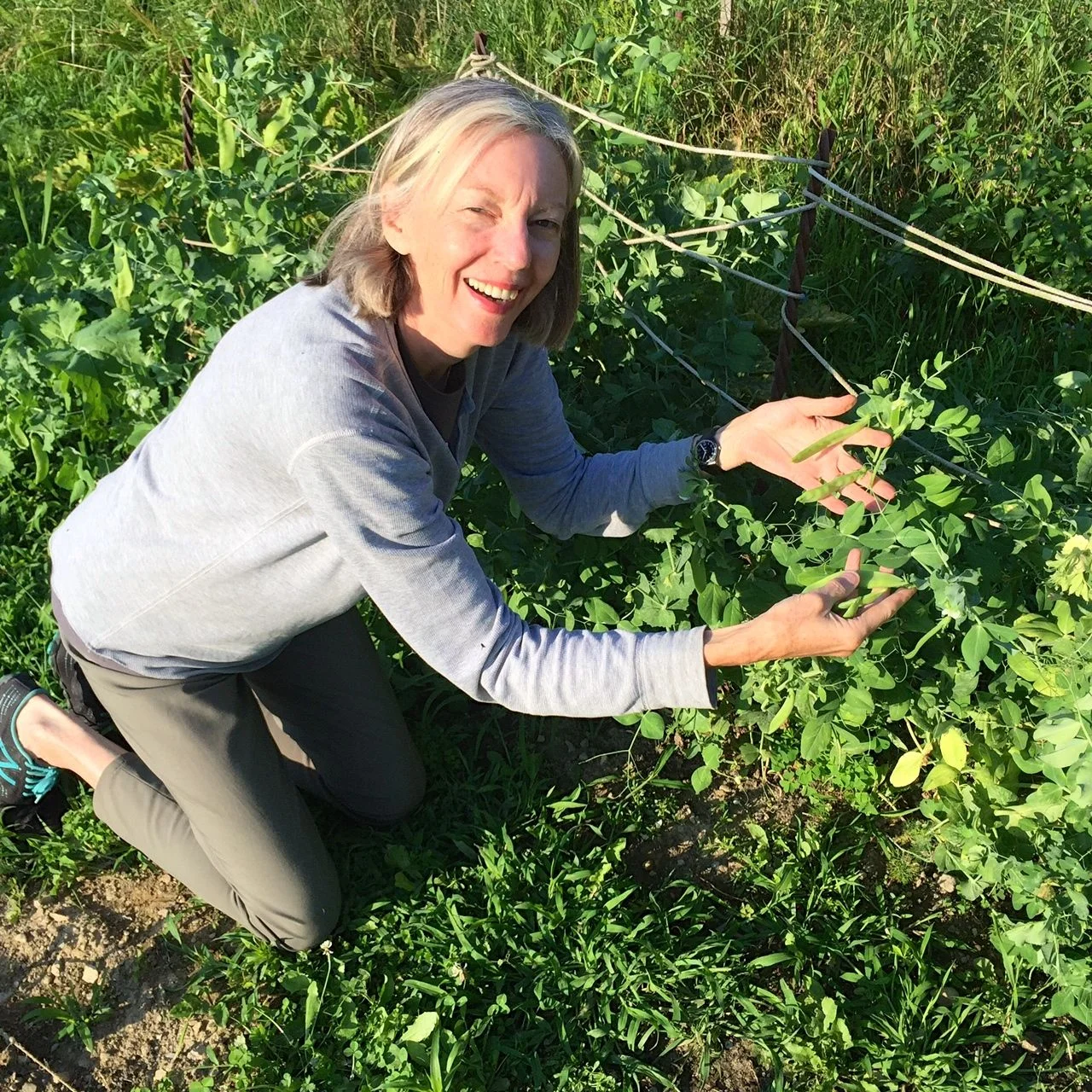 Showing you some sugar snap peas, and there are plenty more behind my head, too.