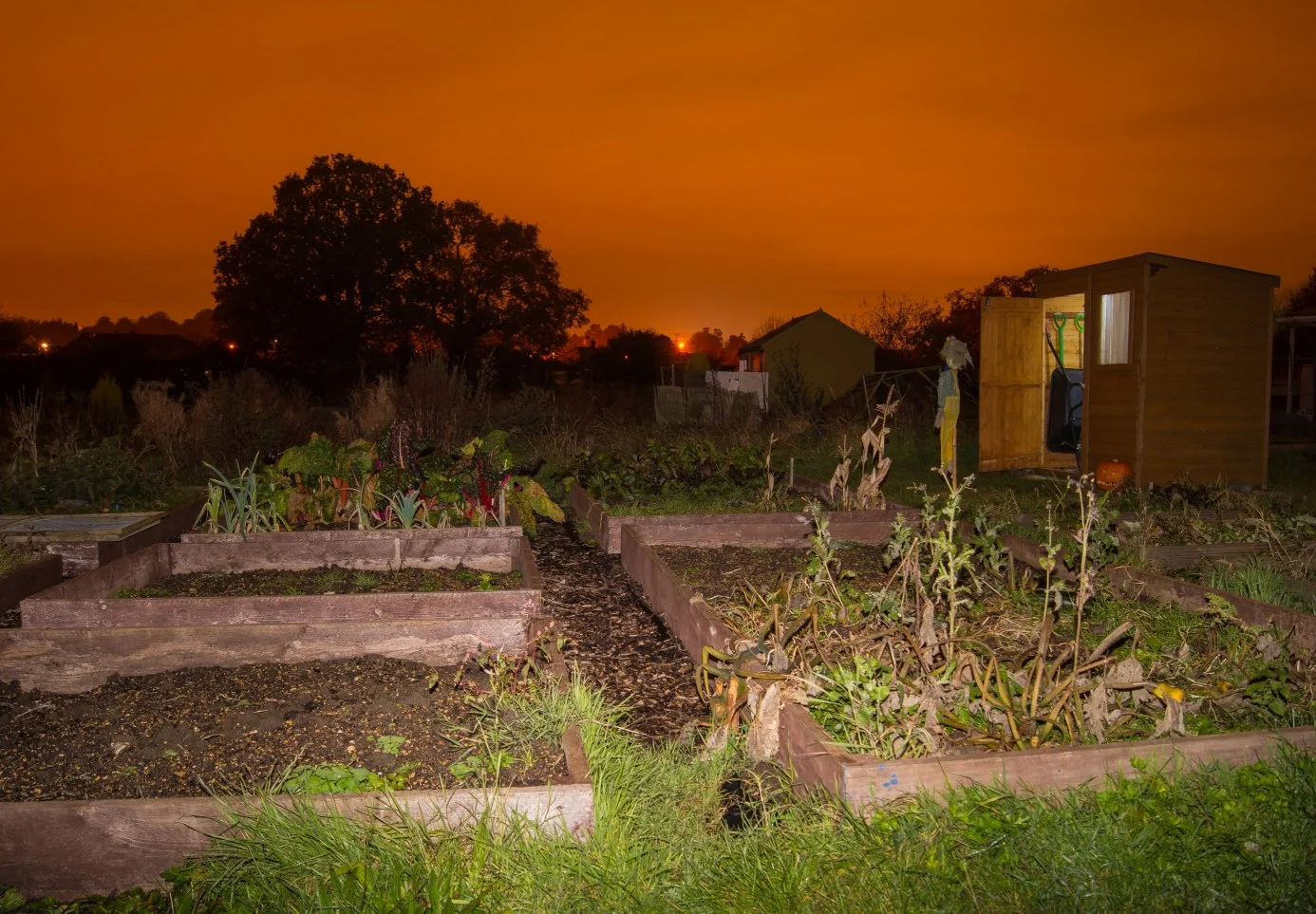 Allotment night shift
