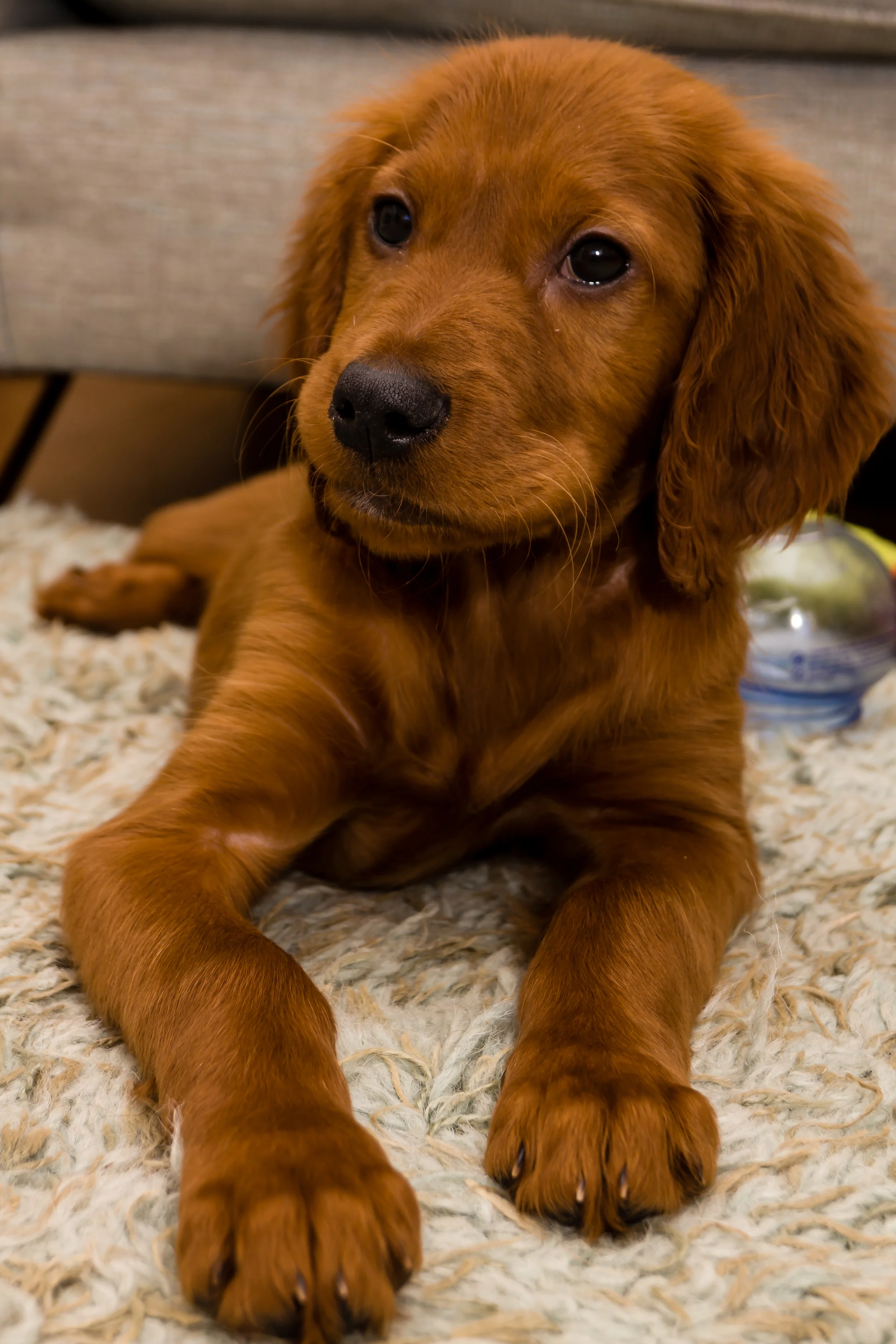 DSC04942.jpg