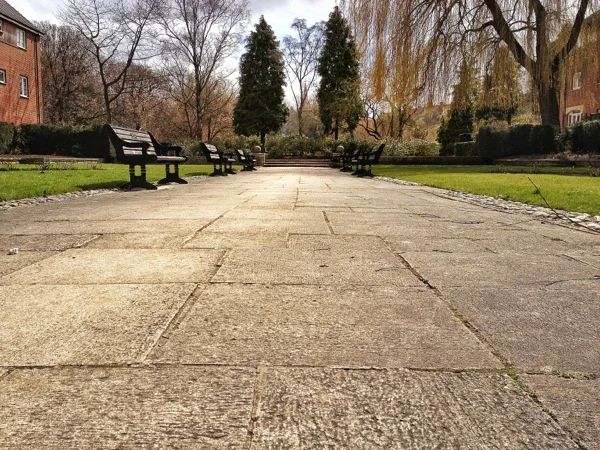 Taken from lower down gives the scene a different balance making the pathway larger and the focus of the image.