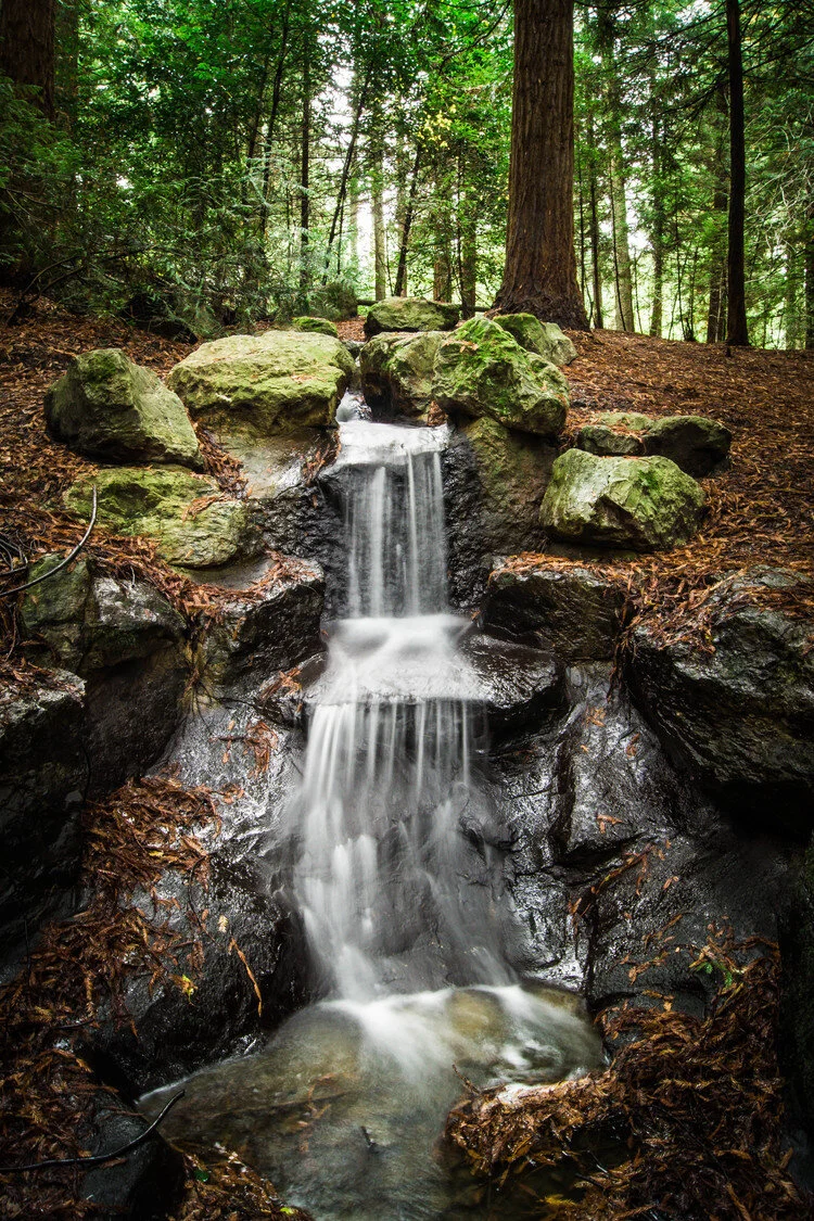 Autumn Water