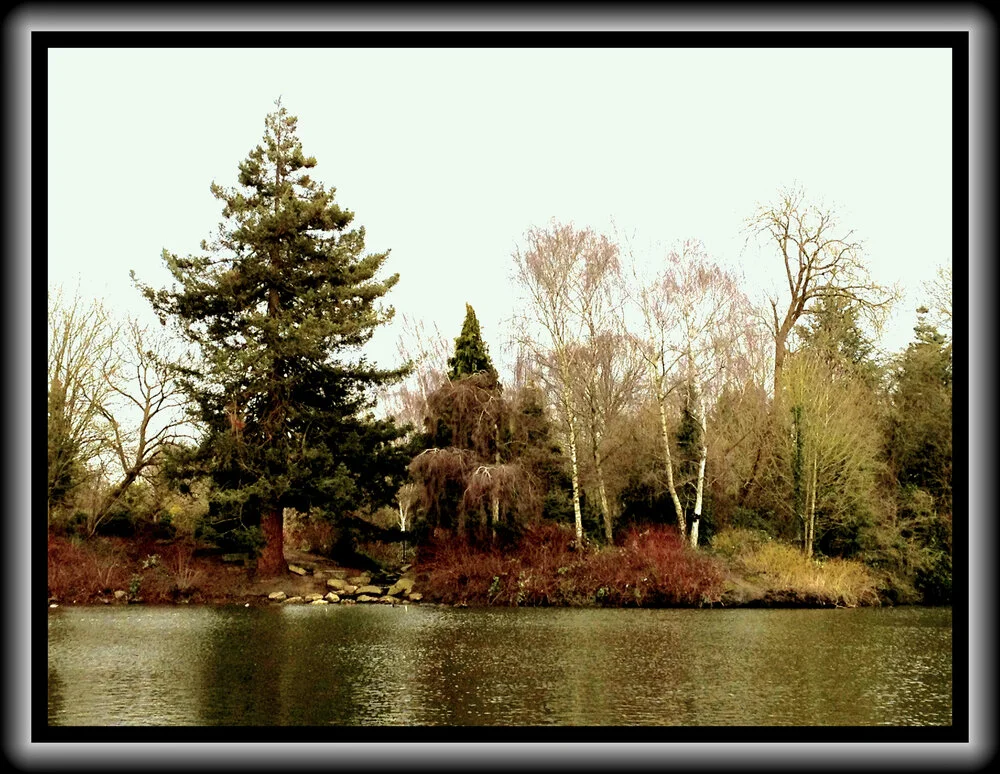 Stroll through the park