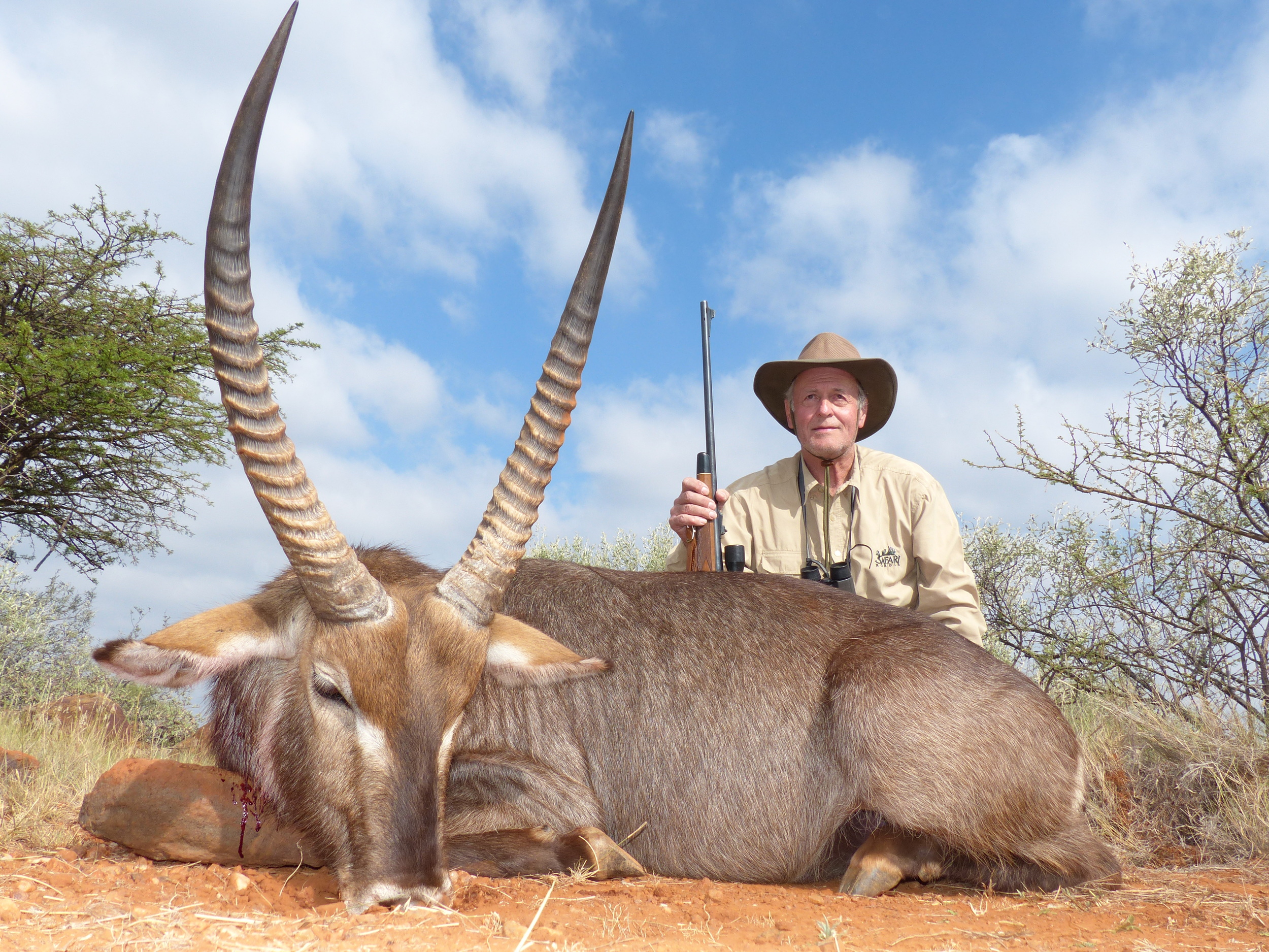Waterbuck