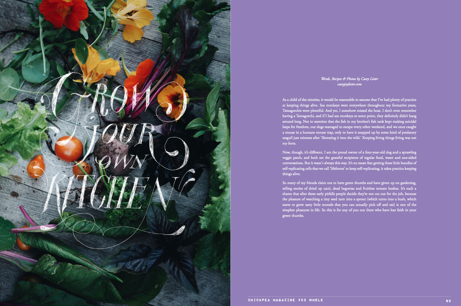 Screen Shot 2018-02-08 at 9.43.54 PM.png