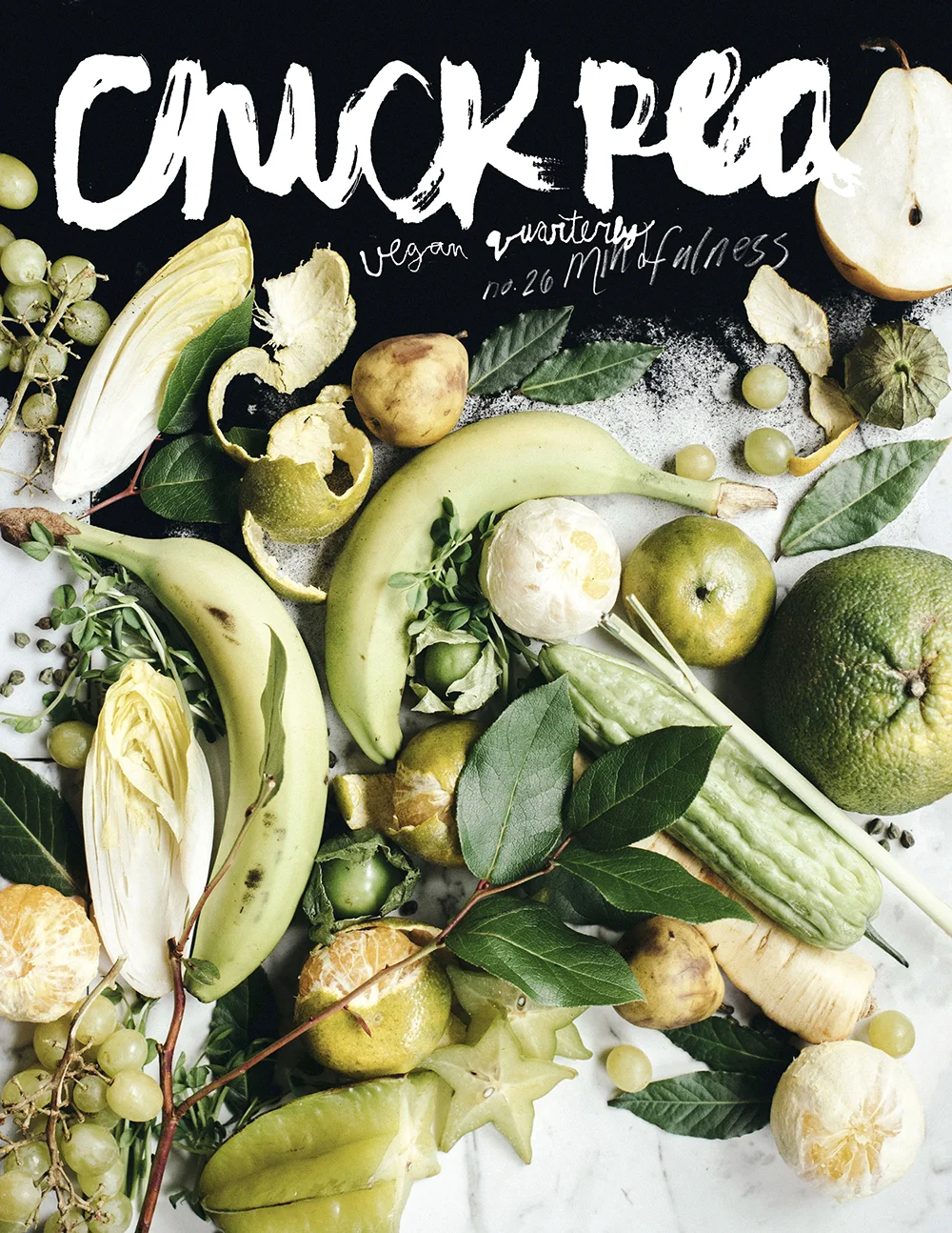 26 cover sm.jpg