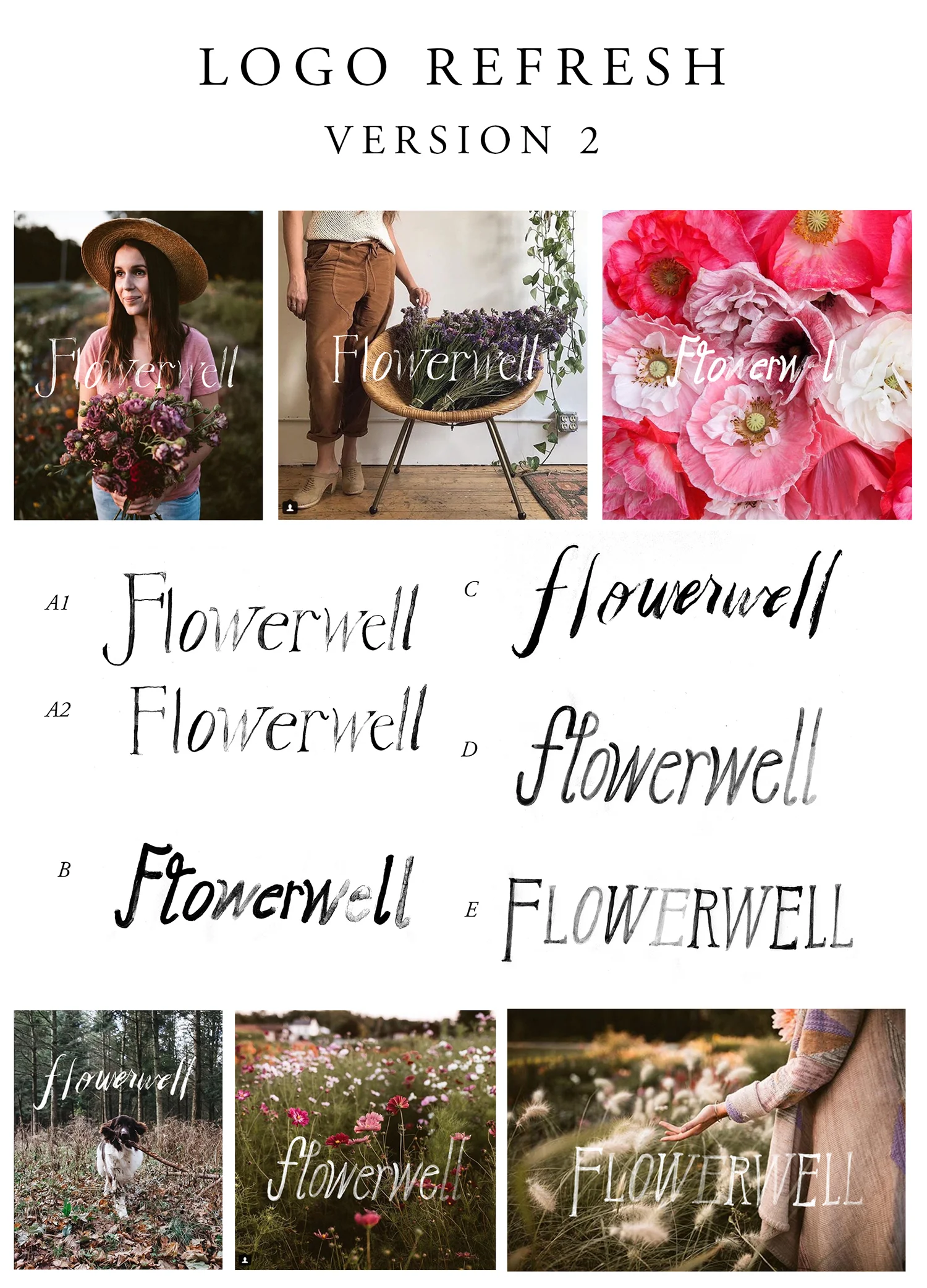 logo options 2.jpg