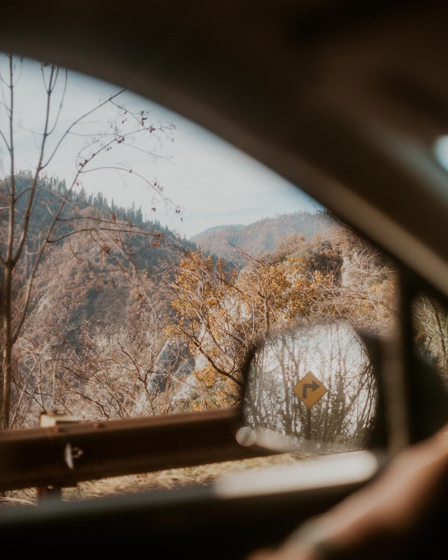 a few favorite photos from this weekend heading to a bunch of national parks, which was mostly endless driving but good views everywhere 🥺🏔️🌲🍂