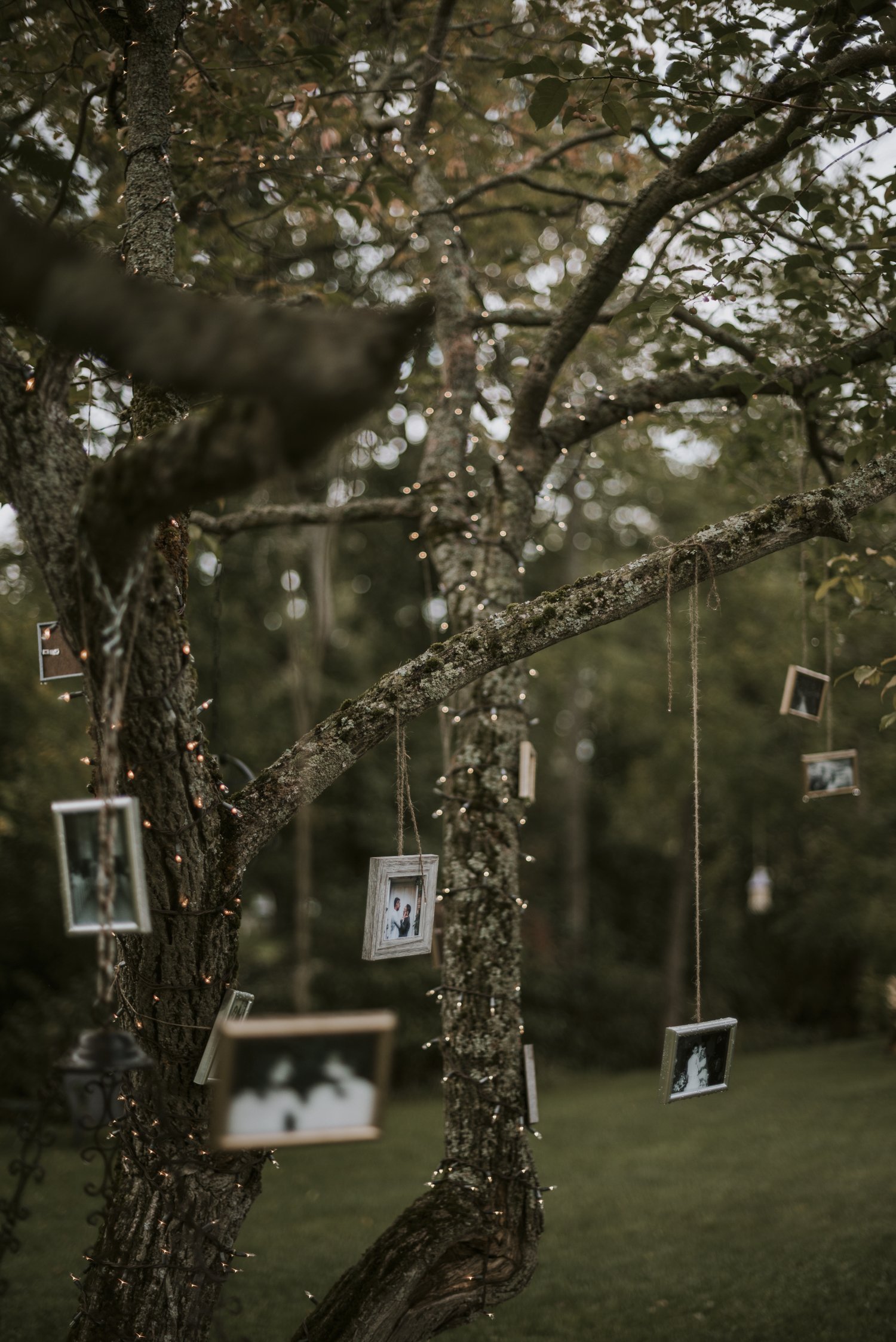 10 details 0031_1.JPG