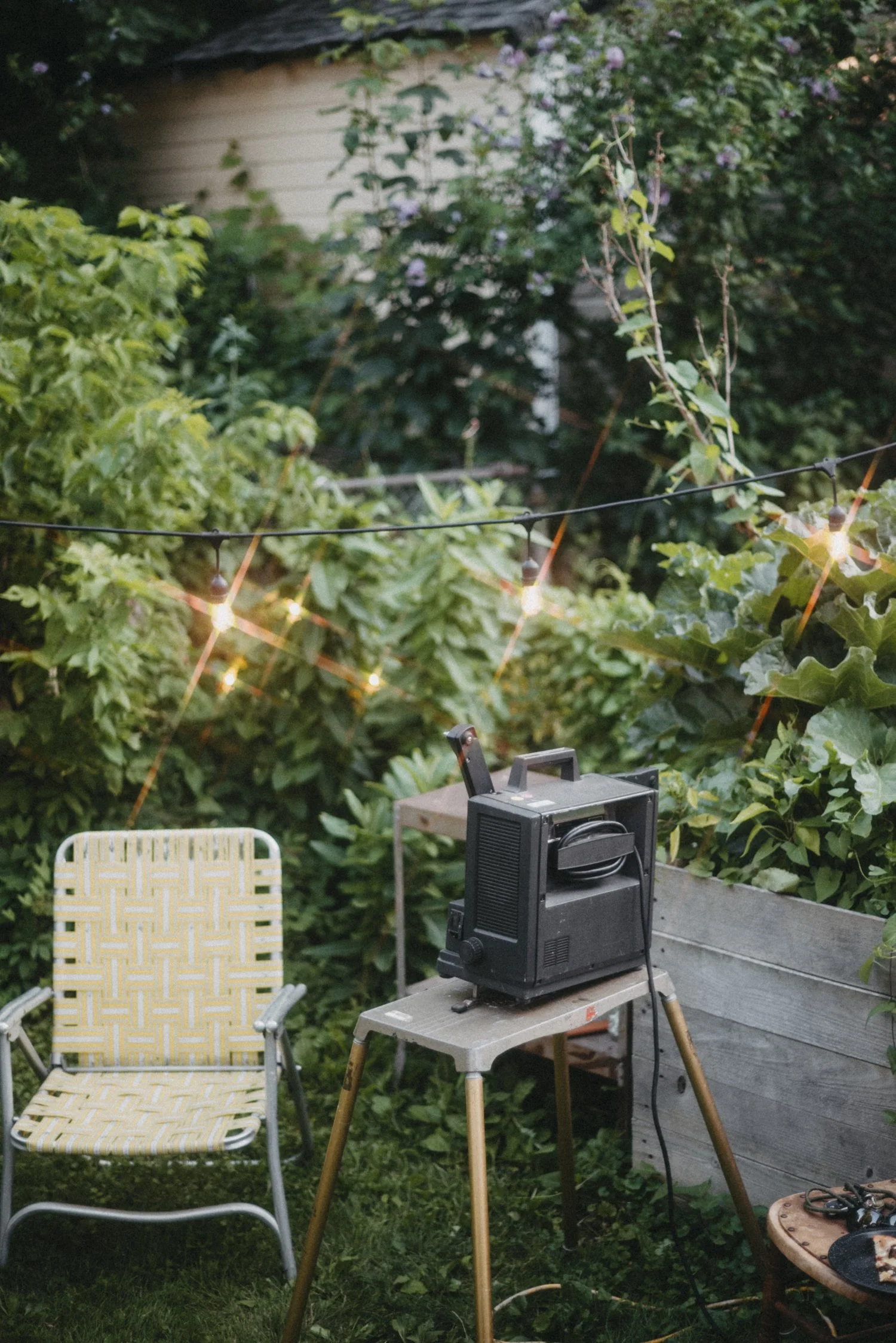 Backyard Movie Night