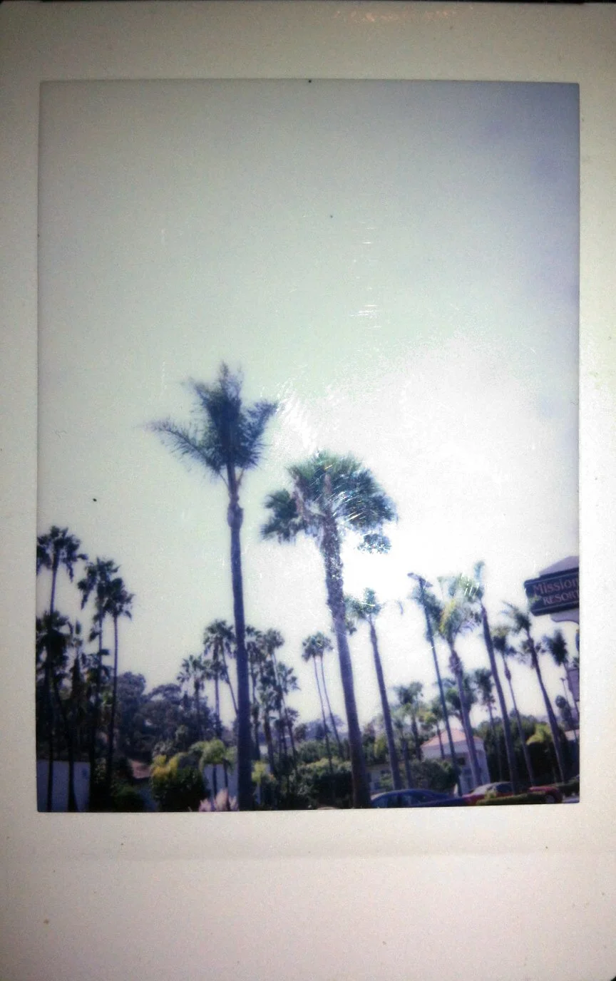 rat kingdom - somewhere in california