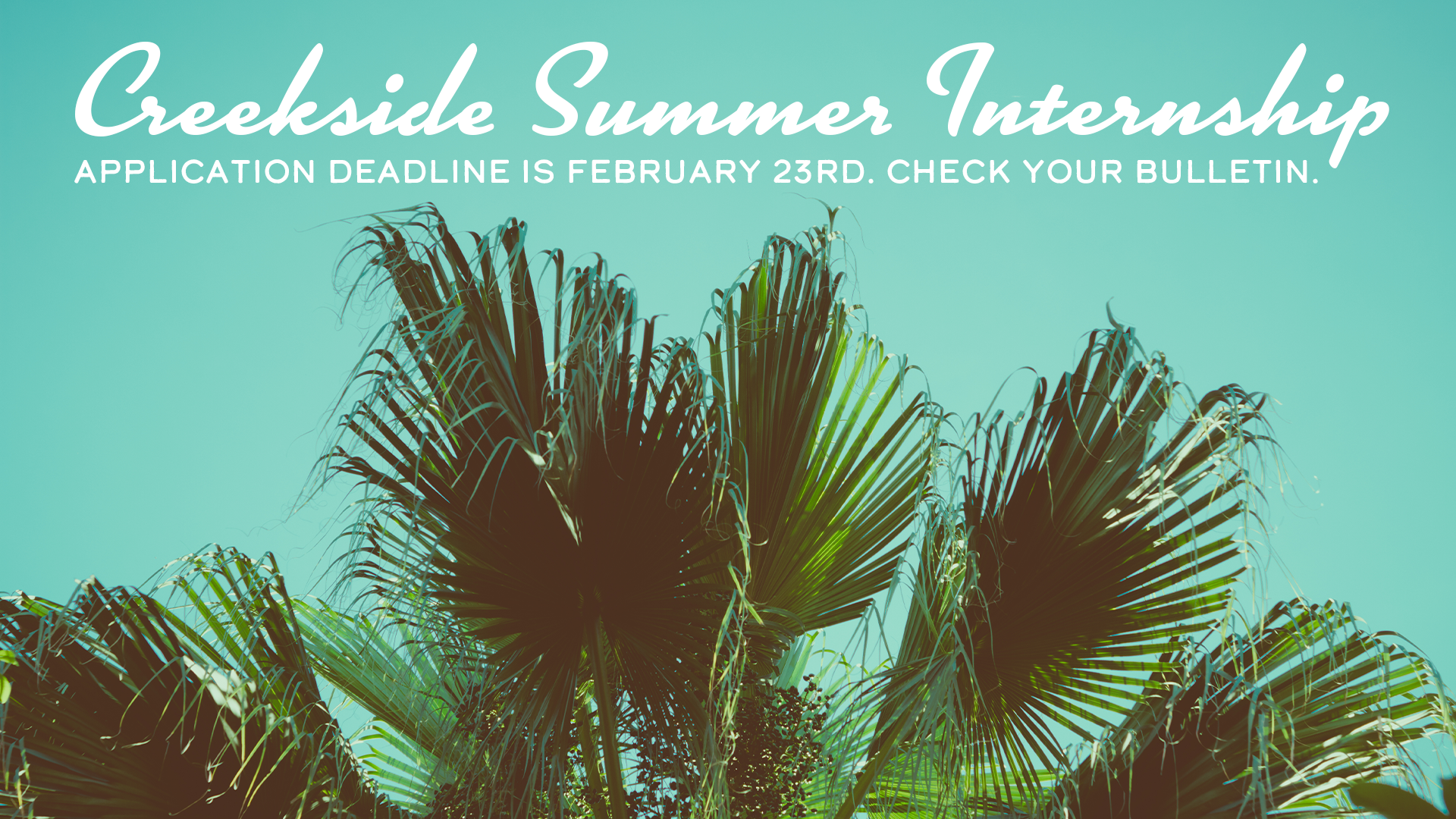 Creekside Internship.png