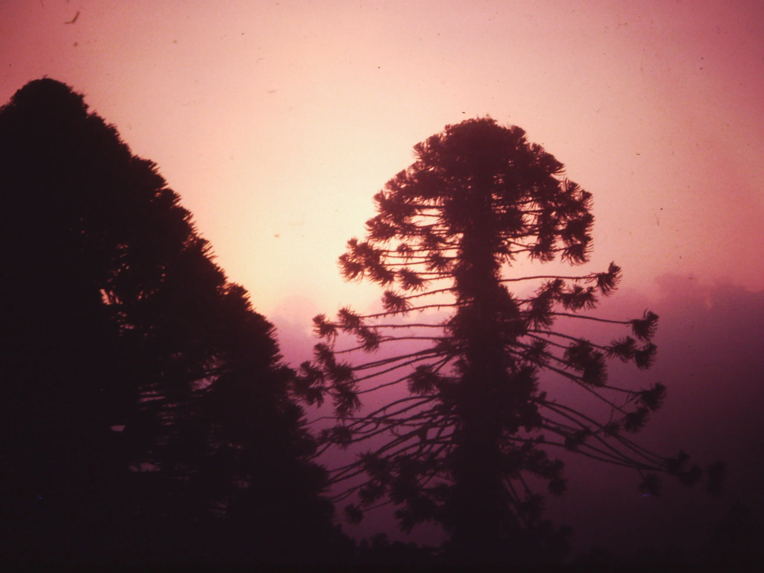 What's said on the mountain