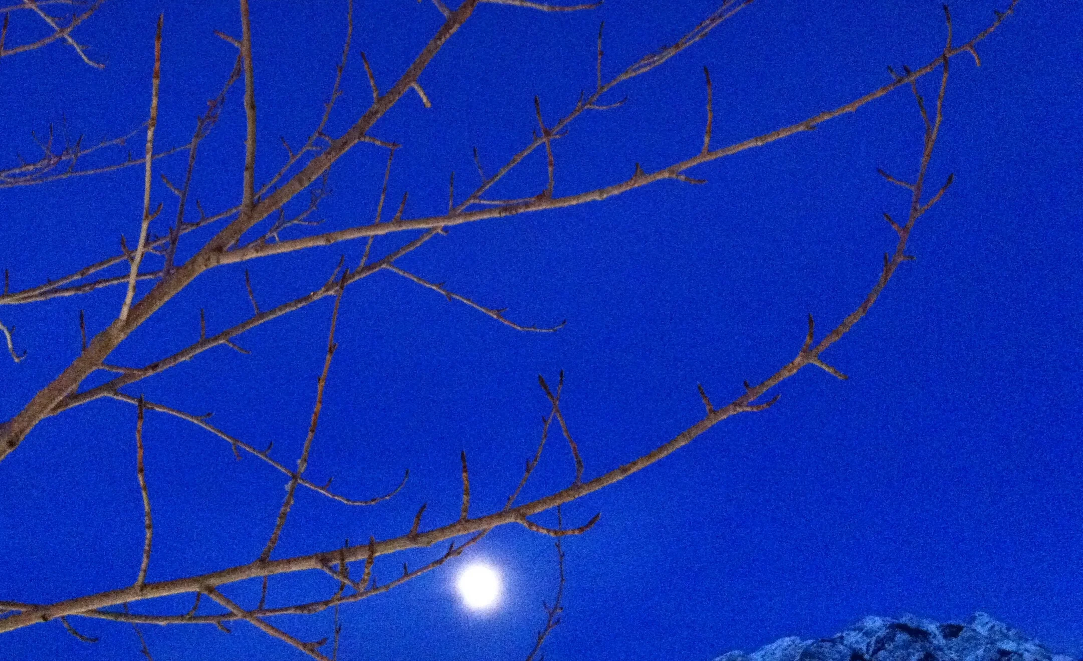 High school and the long bittersweet farewell