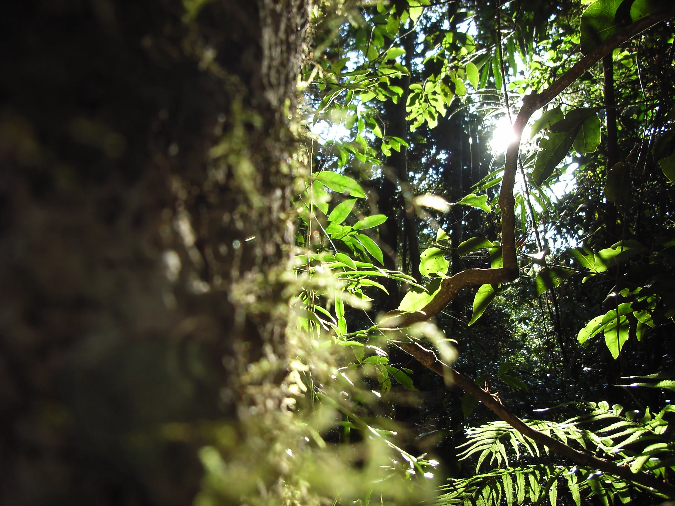 No, we're not all the same Australia, and isn't that great!