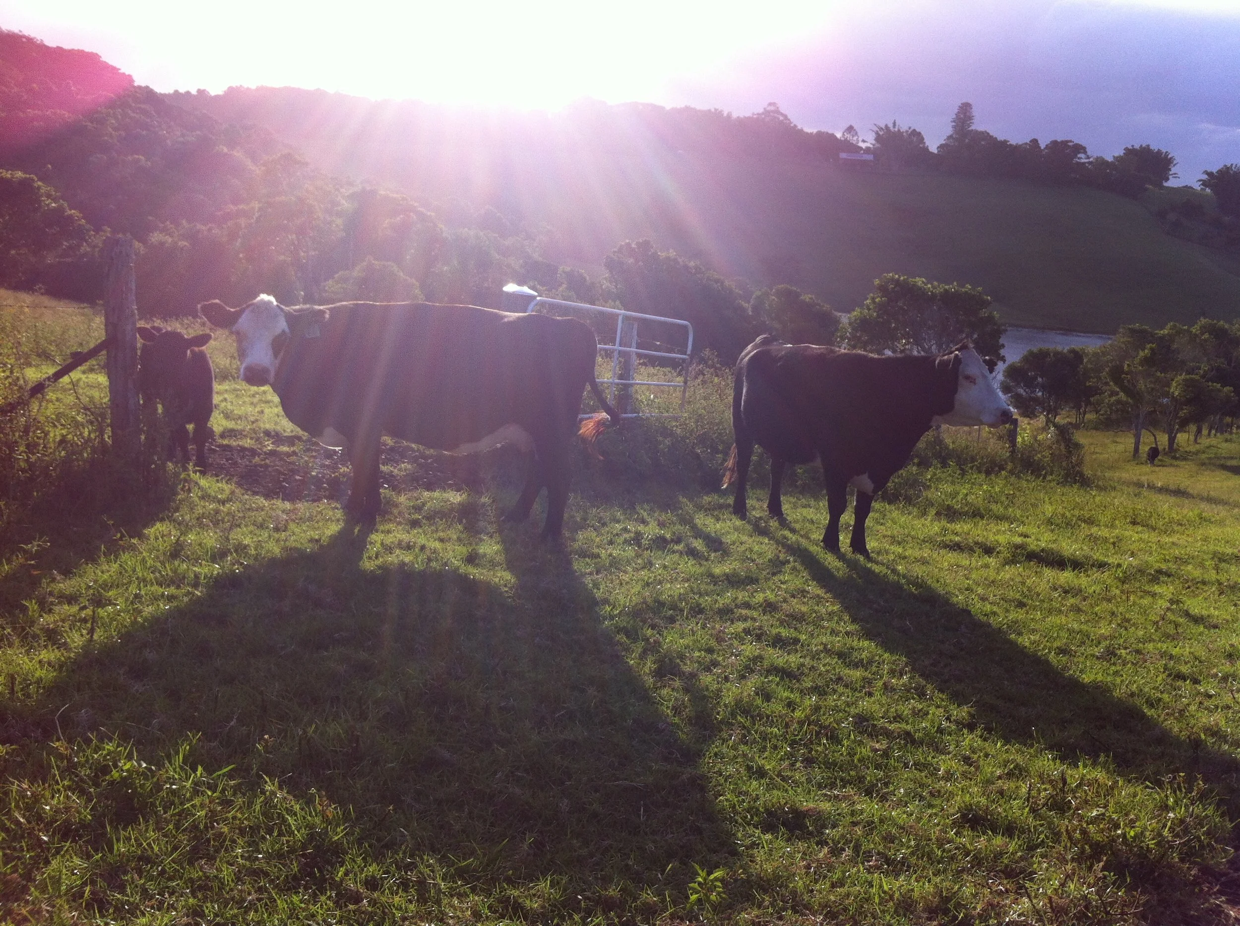 From For a Girl - Byron