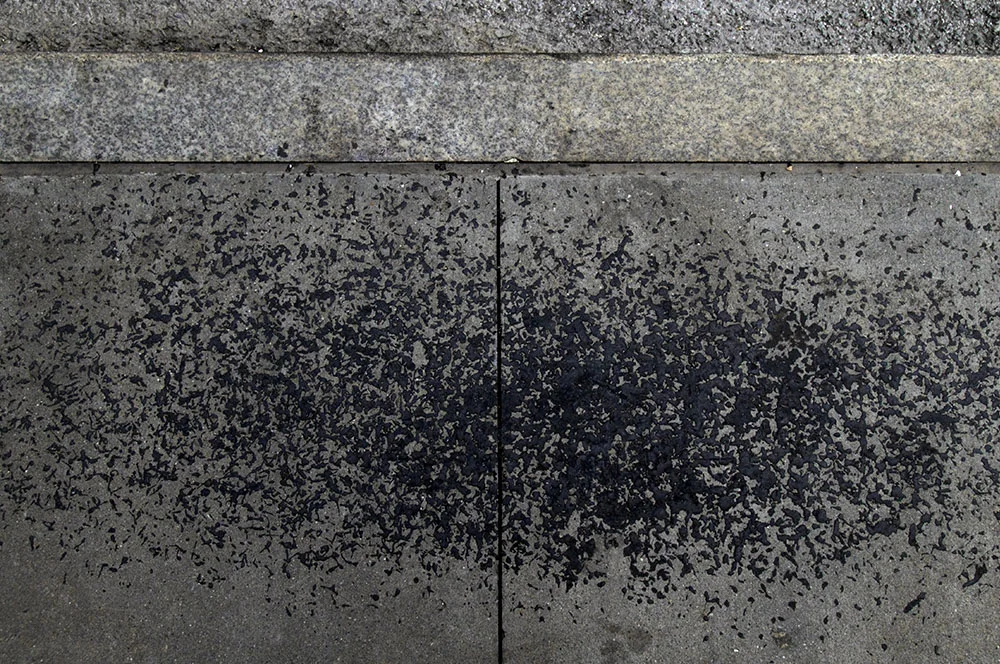 splat_1000x664_0005_molnar.jpg
