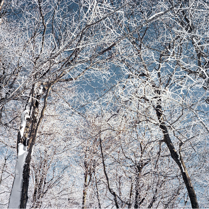 places_700_0000_Layer 10.jpg
