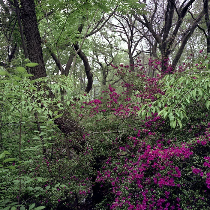 places_700_0009_Layer 1.jpg