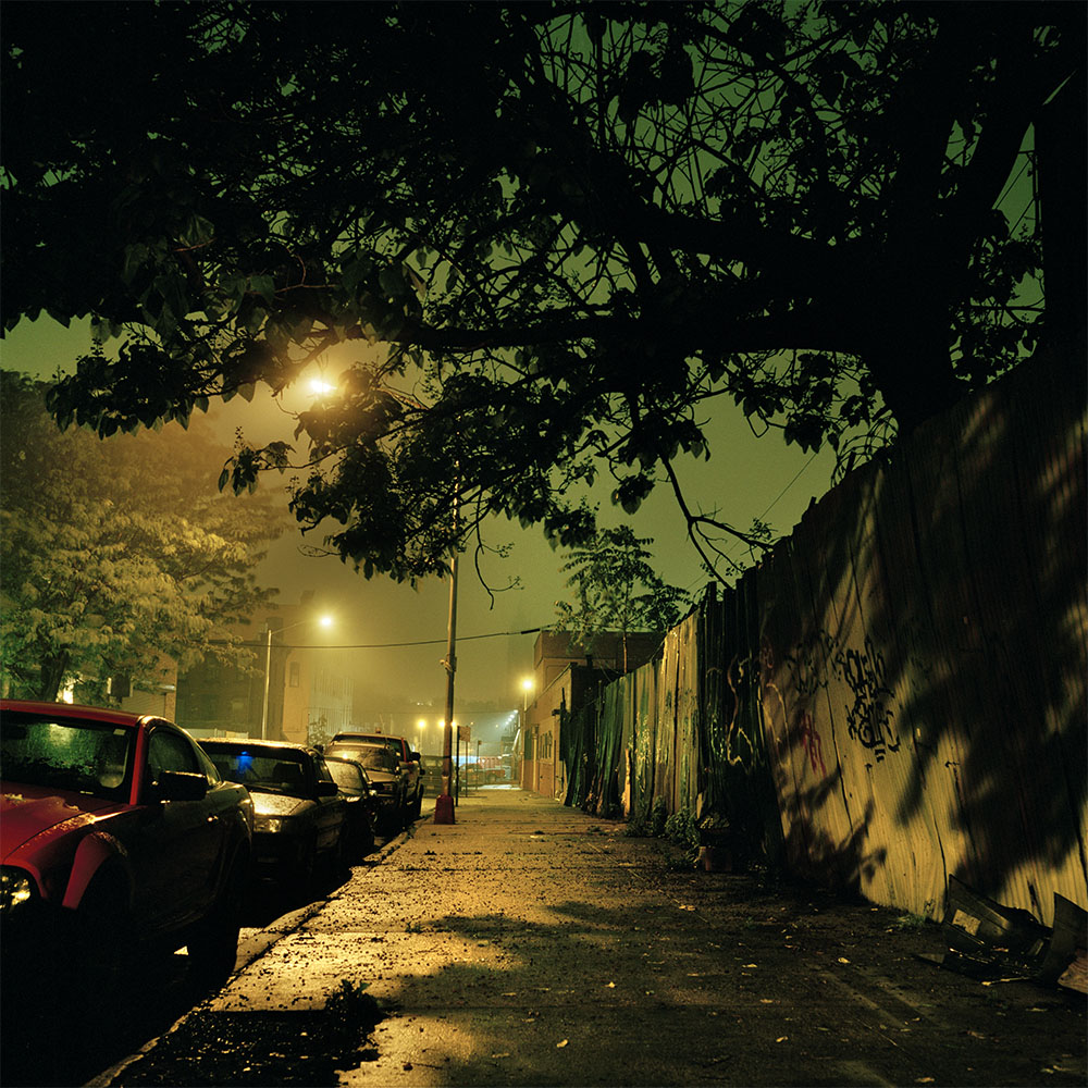 gowanus_1000_0012_jungle_street.jpg