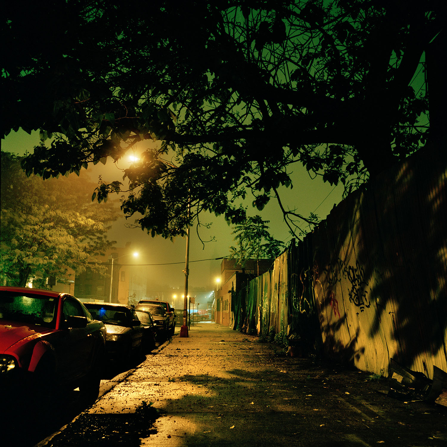 02_Gowanus_Wild_Street_Jungle.jpg