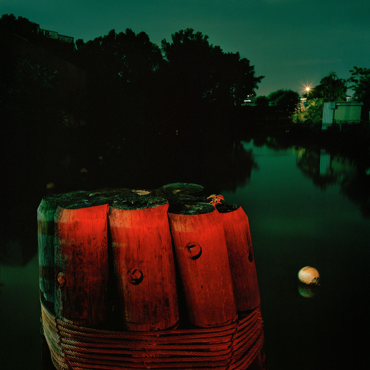 03_Gowanus_Wild_Red_Piers.jpg