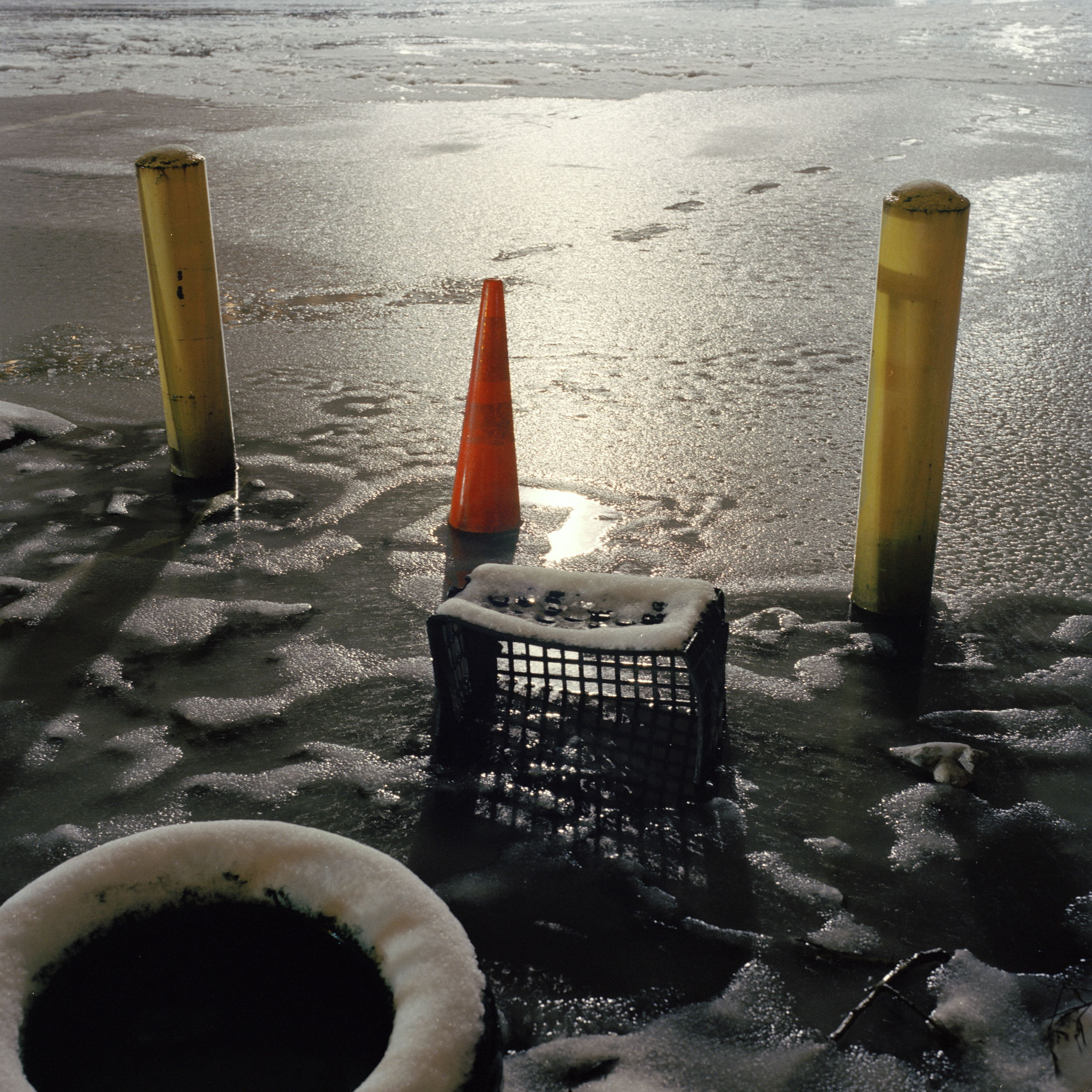 Gowanus_Wild_Slush_Cone.jpg