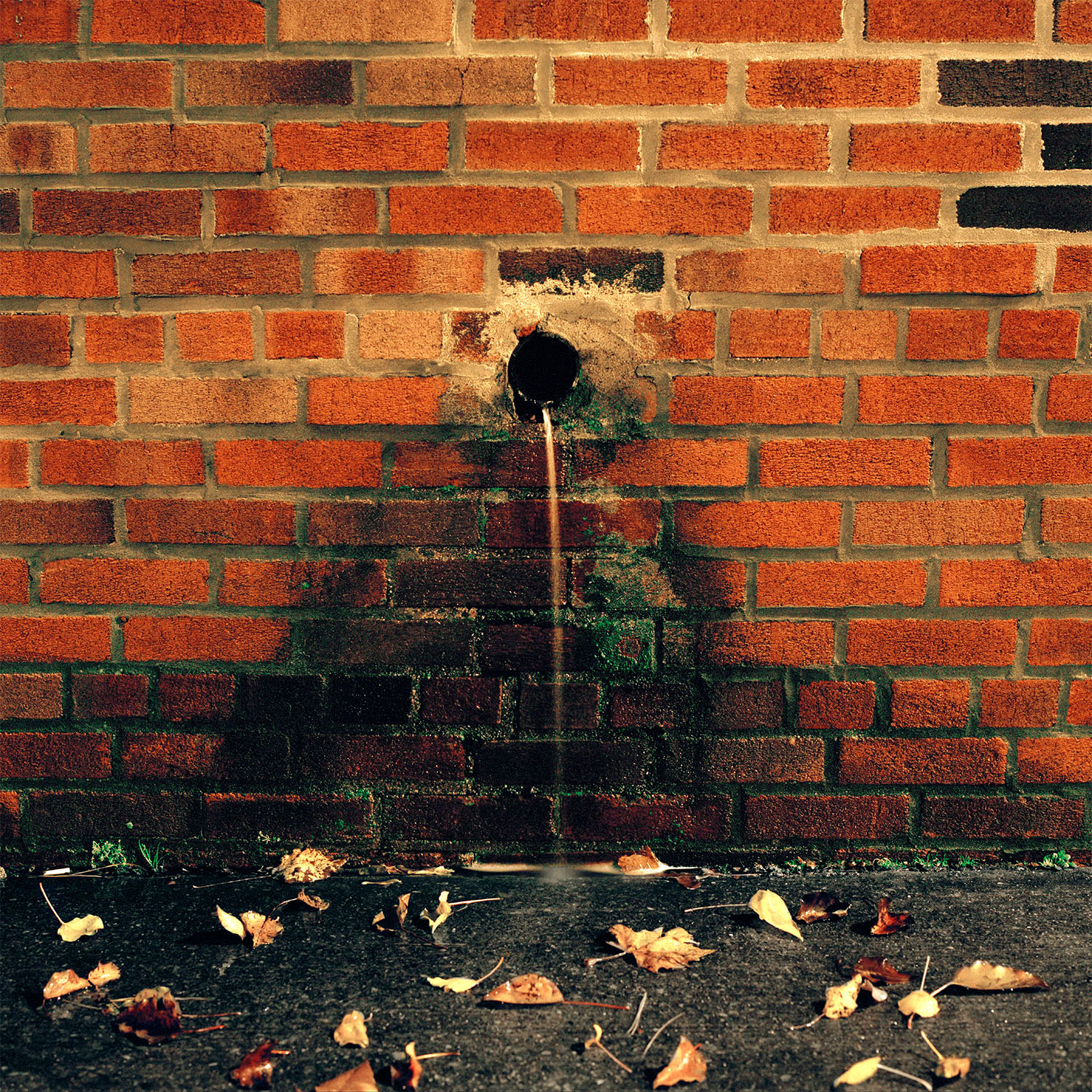 Gowanus_Wild_Water_Hole.jpg